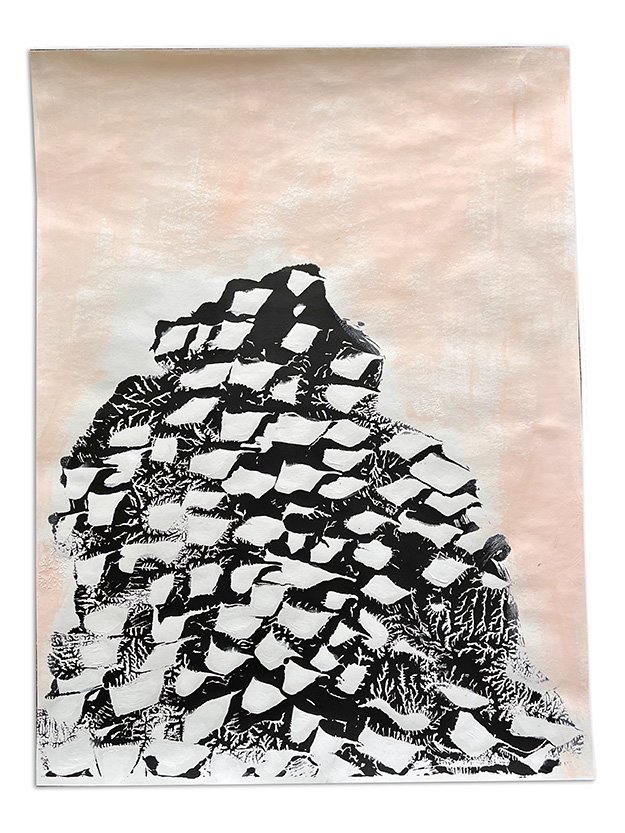 web_Mountain_18%22 x 24%22_monoprint on paper_Gabriella Ditalia 2023.jpg