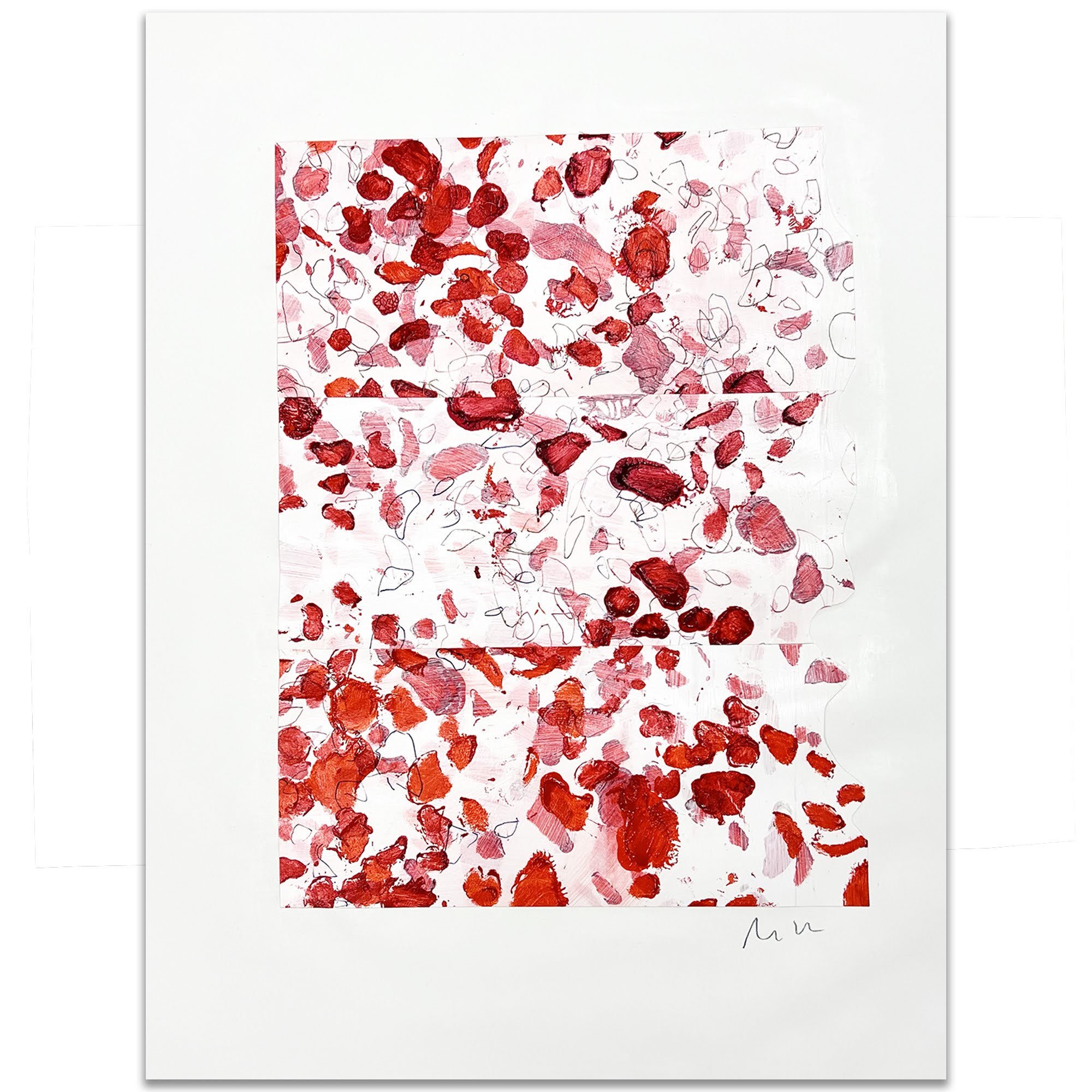 Ditalia Petals 01.jpg