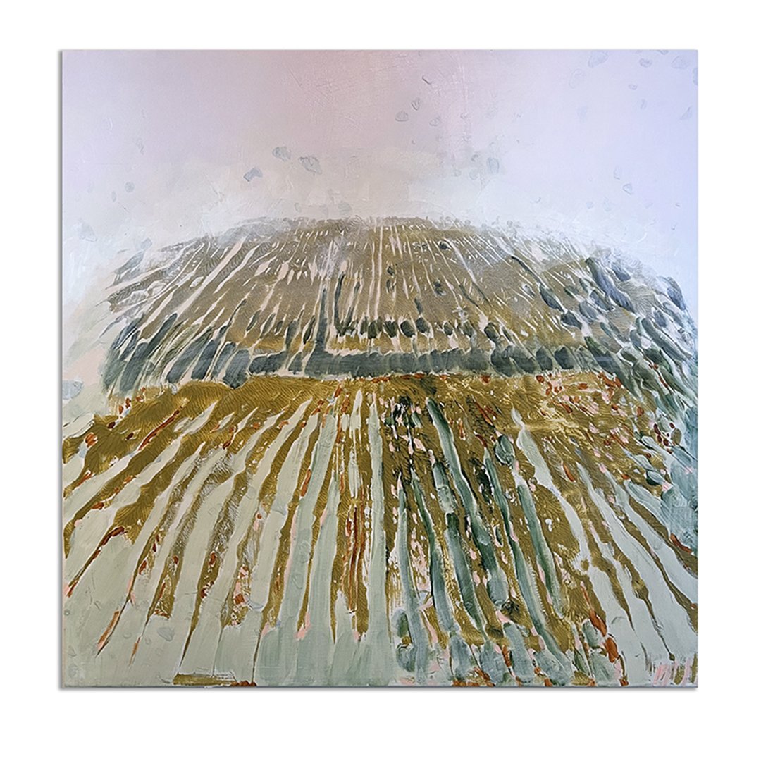 instagram Gabriella Ditalia Fields and Furrows 24_ x 24_ mixed media on canvas.jpg