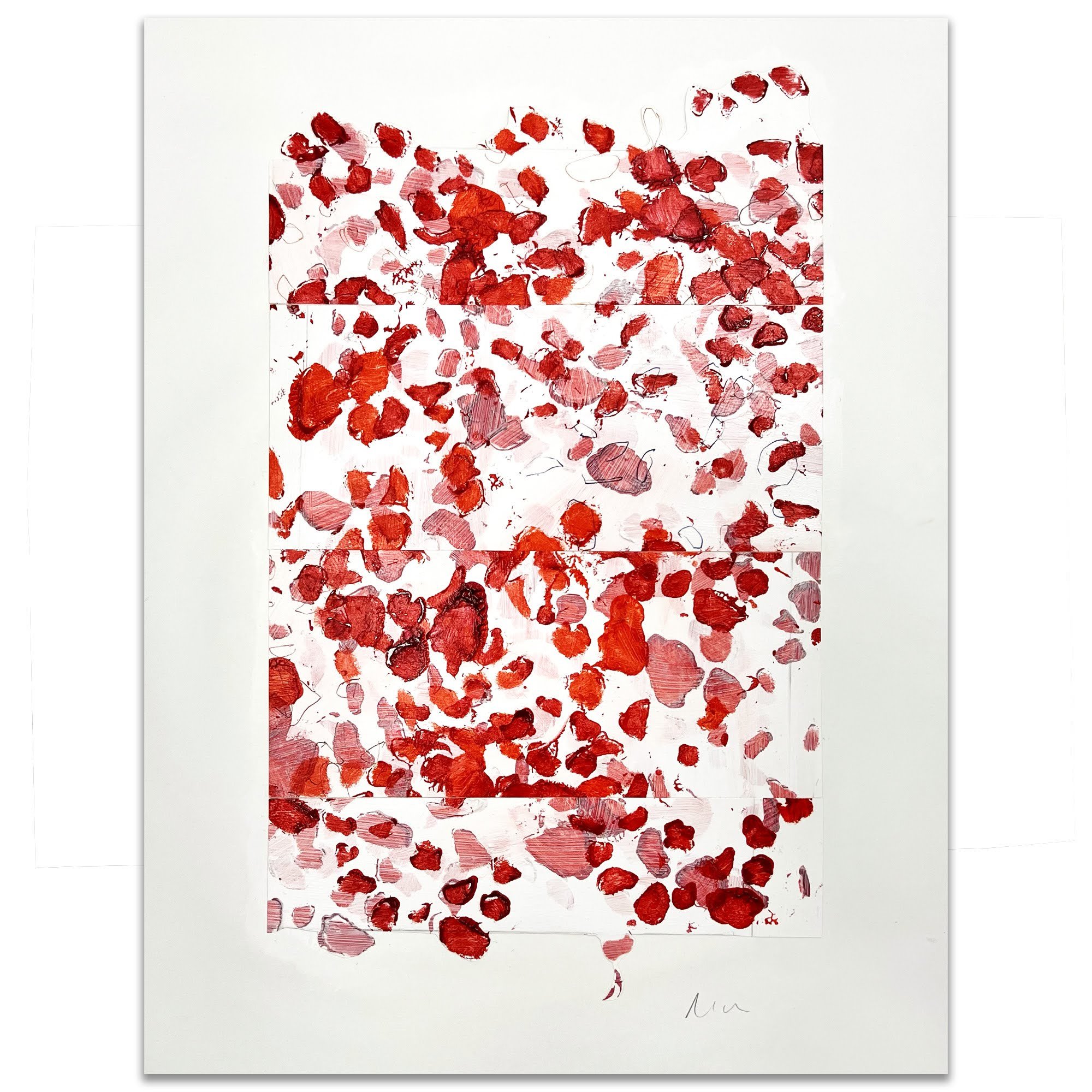 Ditalia Petals 04.jpg