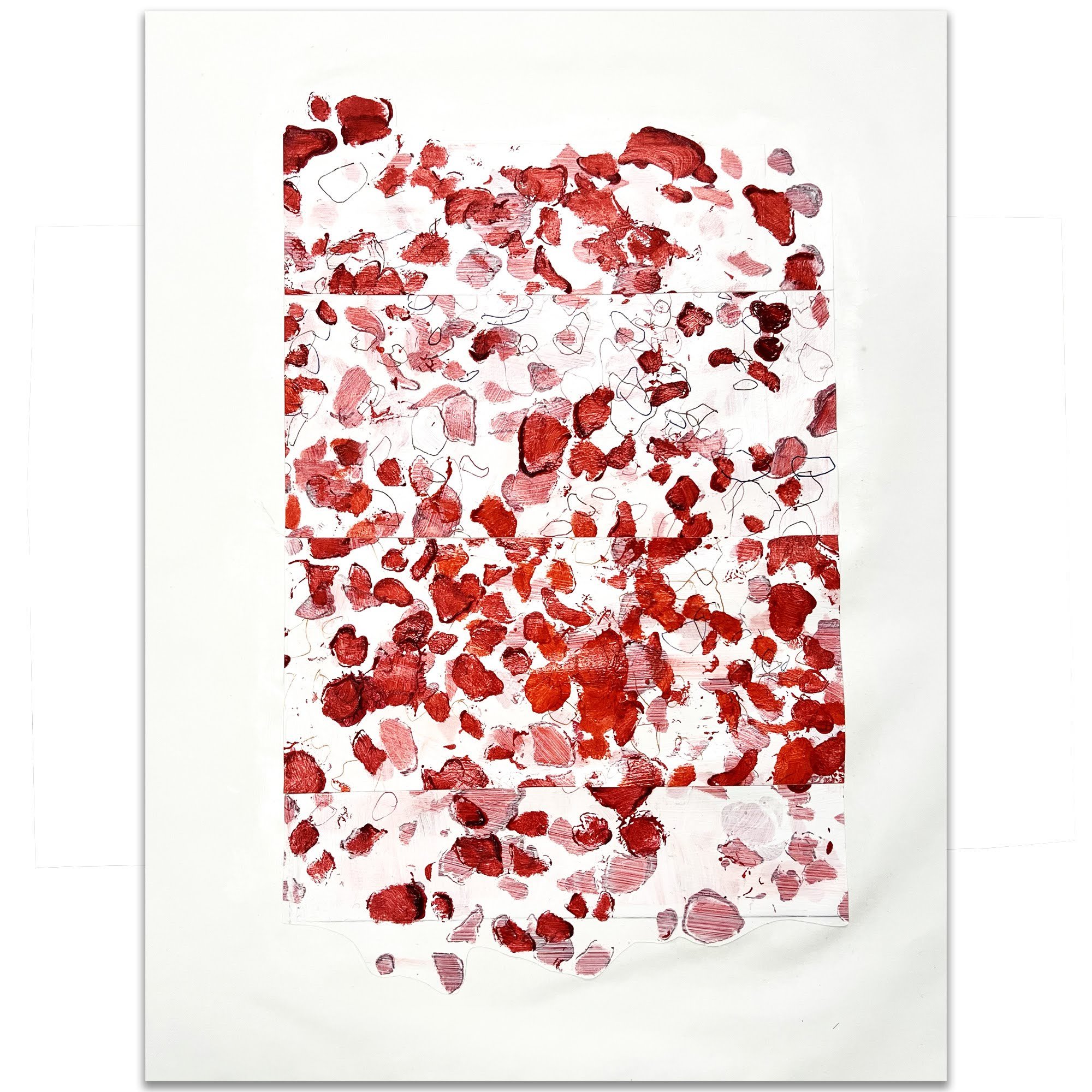 Ditalia Petals 03.jpg