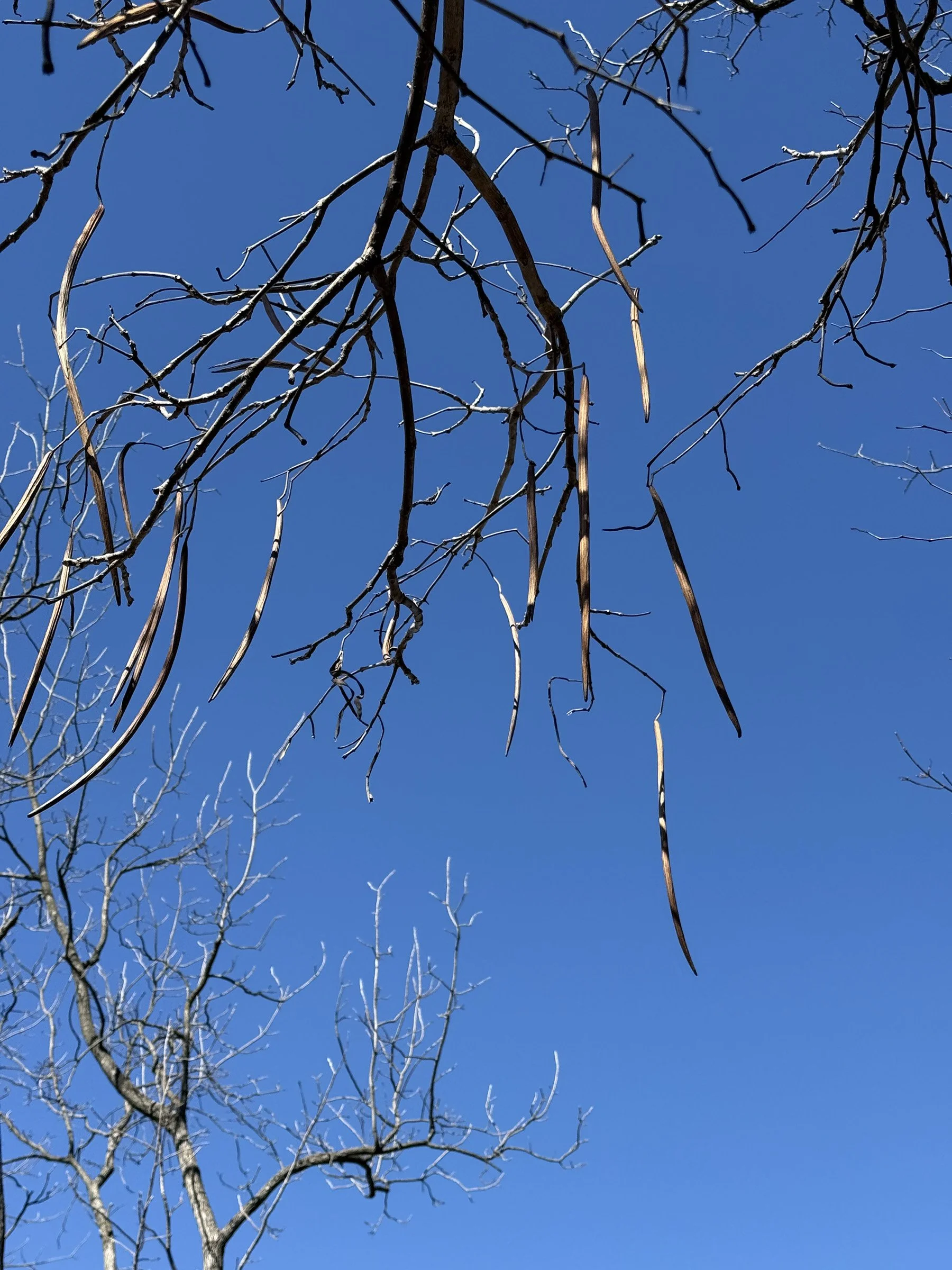 Gabriella Ditalia AIR_01.jpg