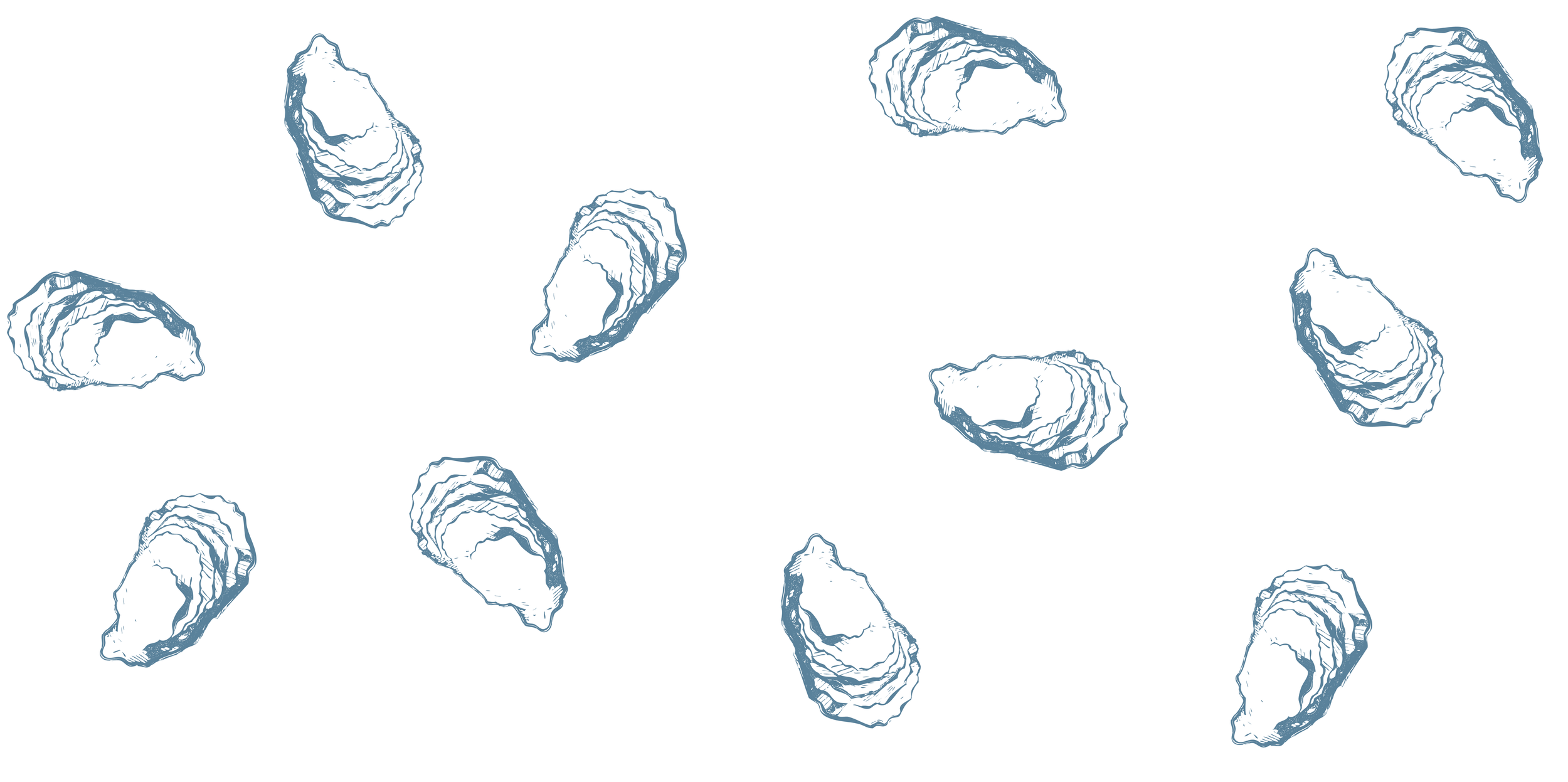 oyster banner 01