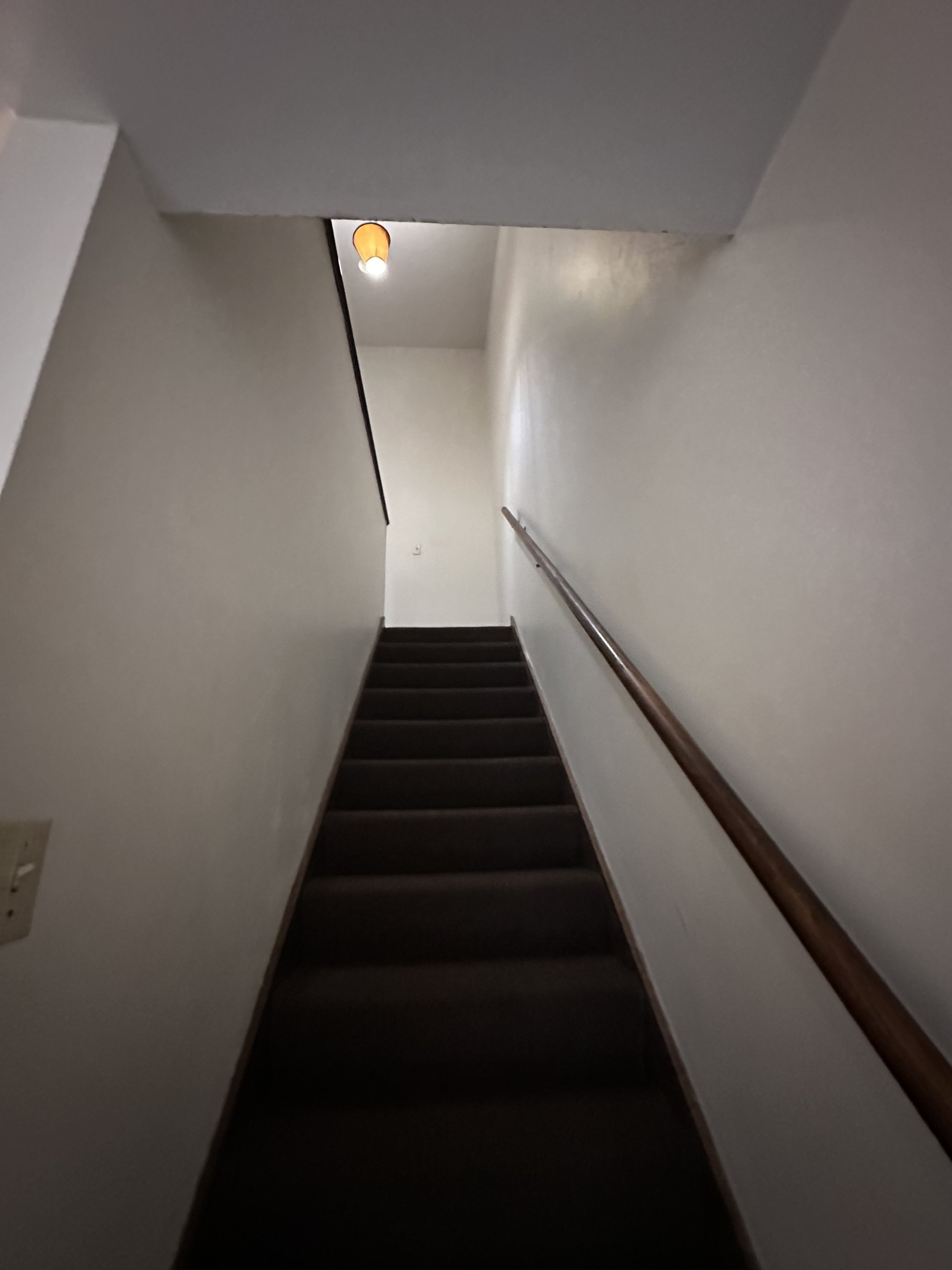 IMG_1419.jpeg