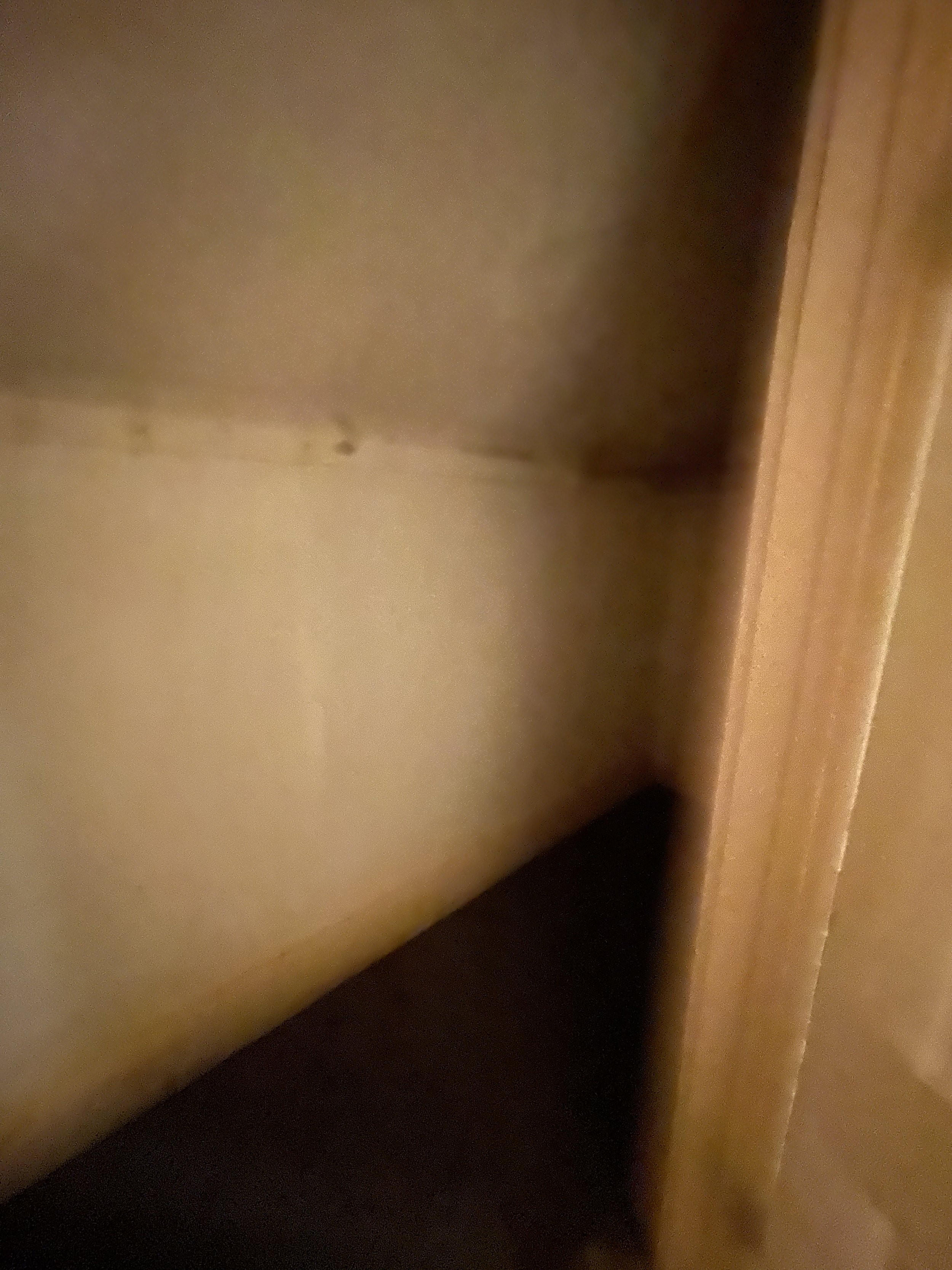 E964F304-DDEC-4C14-A2CF-8DAAACF9060D.jpeg