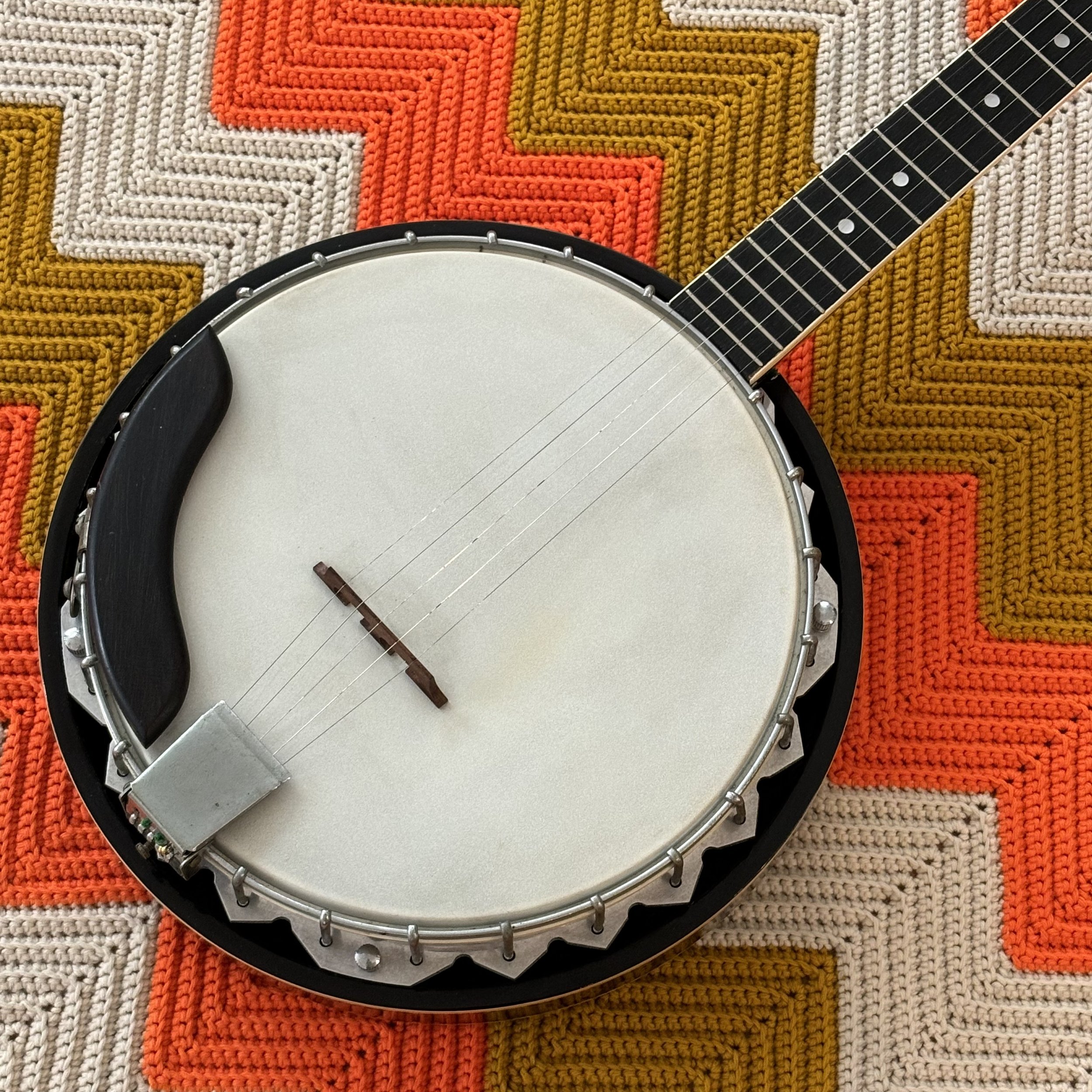Vintage Banjo