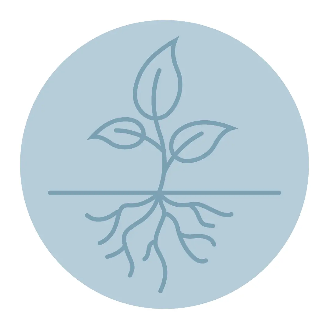 Graphic of a growing tree with visible roots beneath the ground