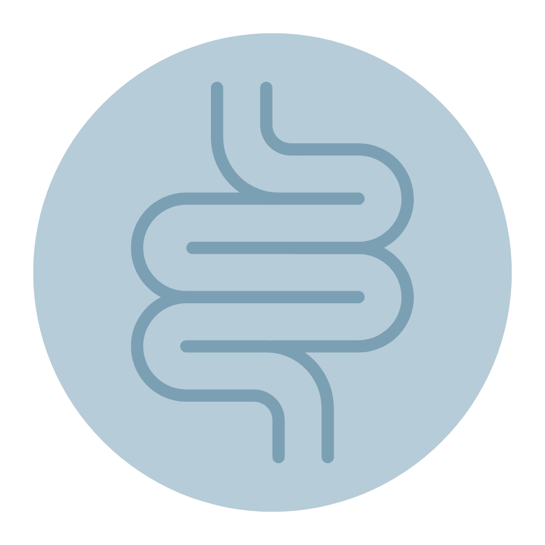 digestive system graphic