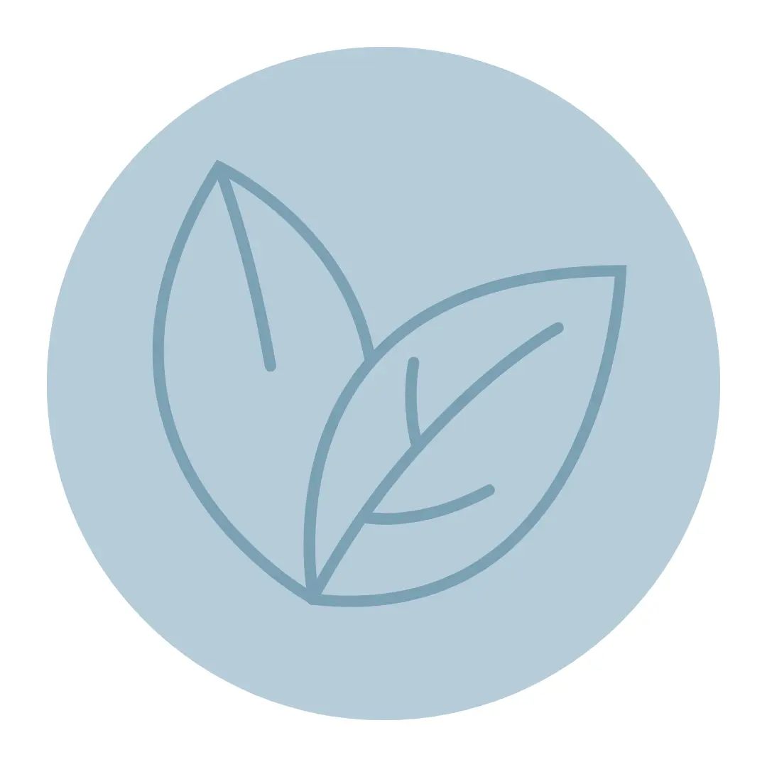 Graphic of two connected leaves joined together