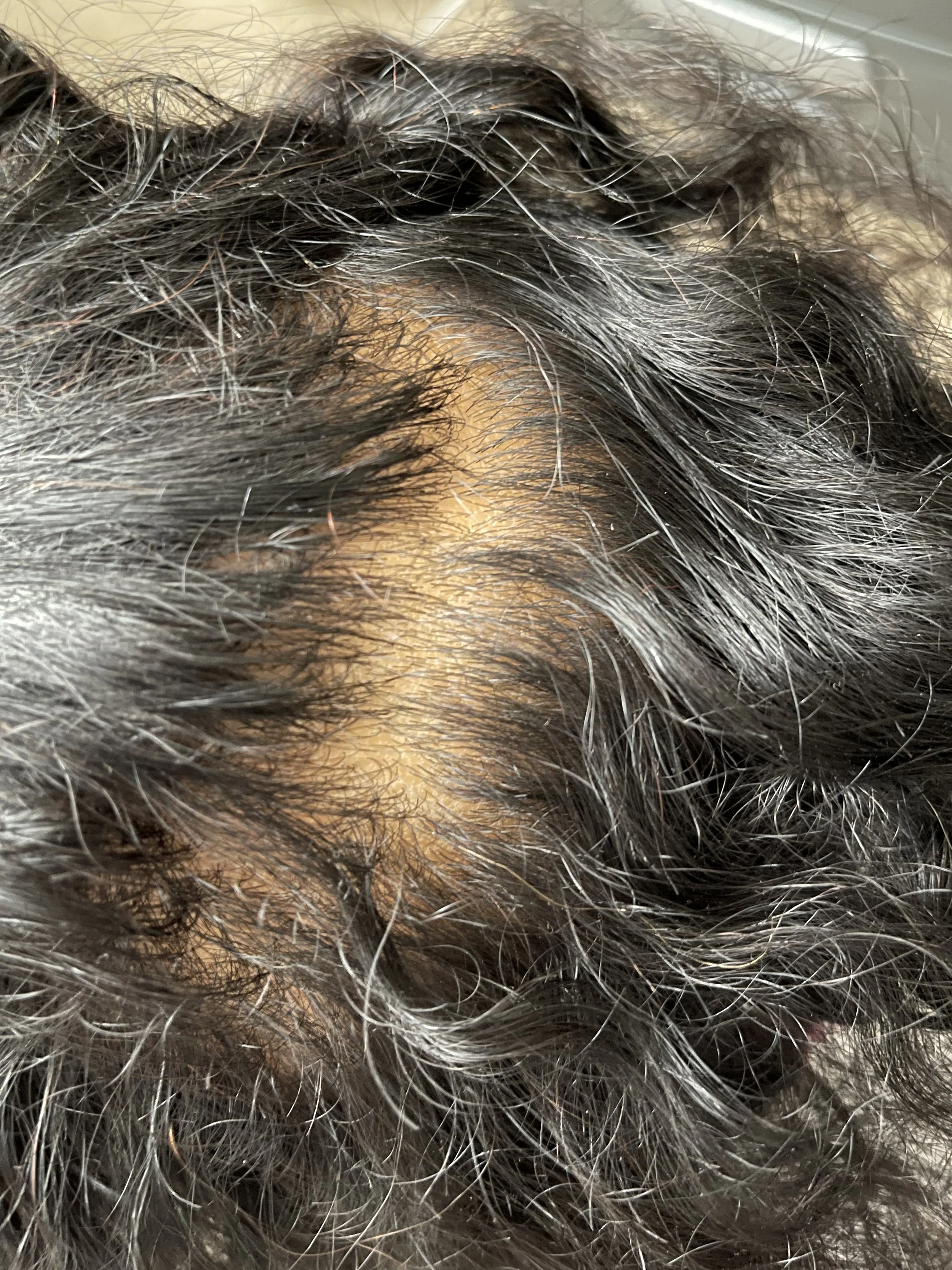 6A4C1EAE-2158-494D-B616-337DA11E489B.jpeg