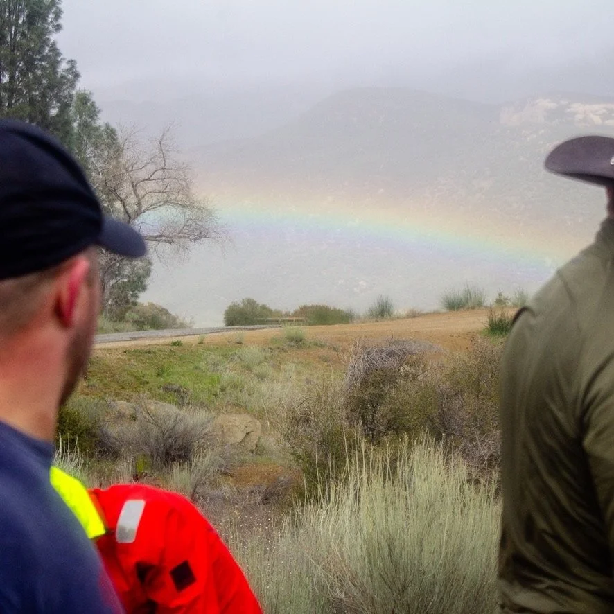Two people are observing a rainbow in a foggy landscape with sparse bushes and trees.