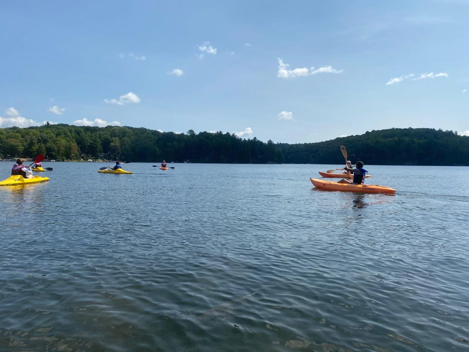 PHOTO-2024-07-05-16-25-56 11.jpg