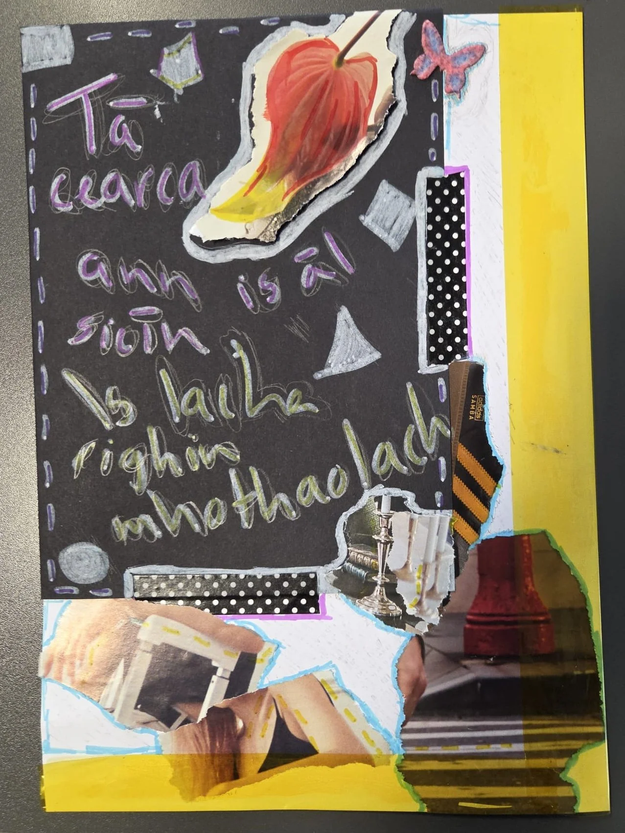 Tá cearca ann.jpeg