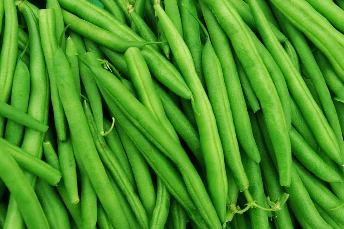 Green-Beans-background.jpg