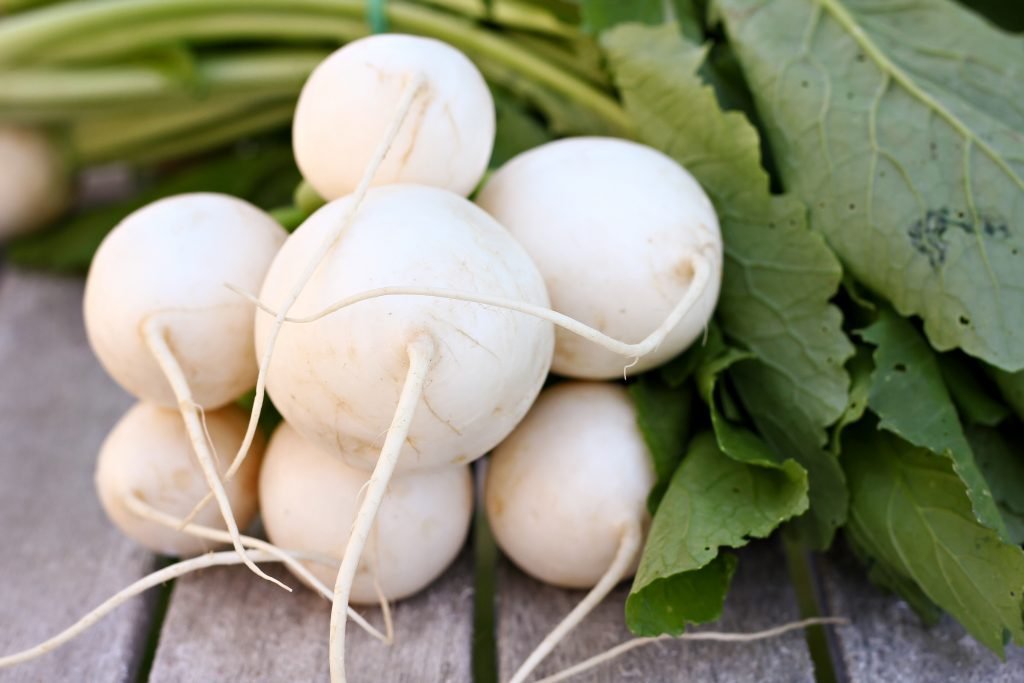 Hakurei-turnips-with-greens-1024x683-1024x683.jpg
