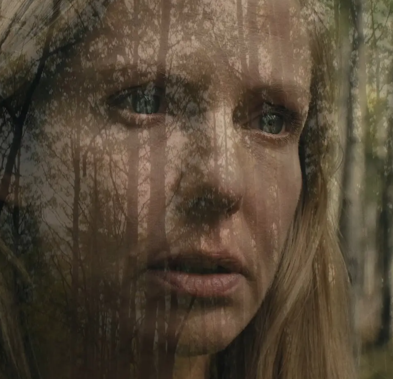 Five Horror Movies to Stream Now