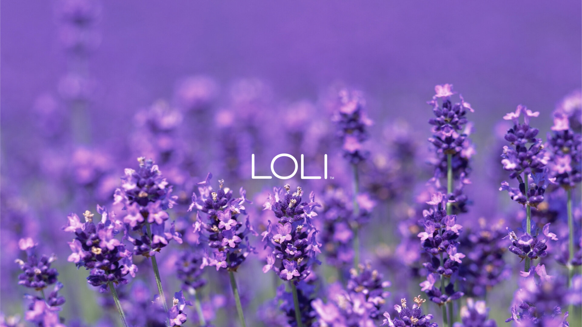 LOLI_Brandbook.050.jpeg