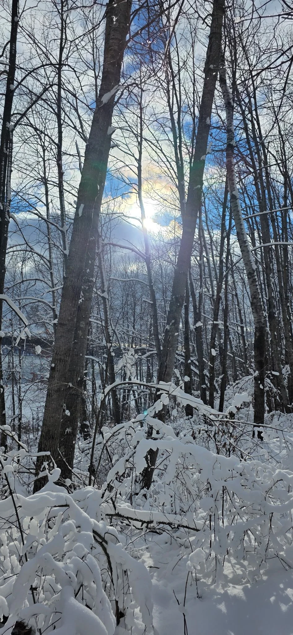 Cuyuna Fatbike 3.jpg