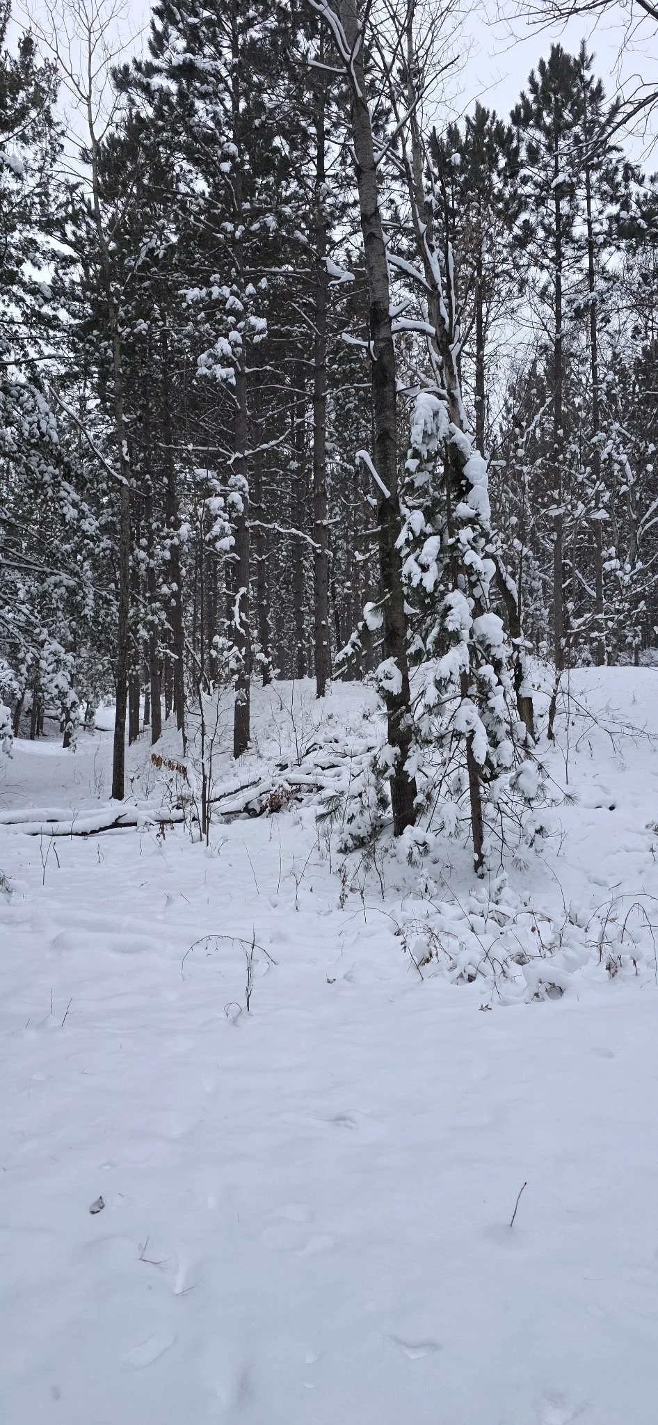 Cuyuna Fatbike 4.jpg