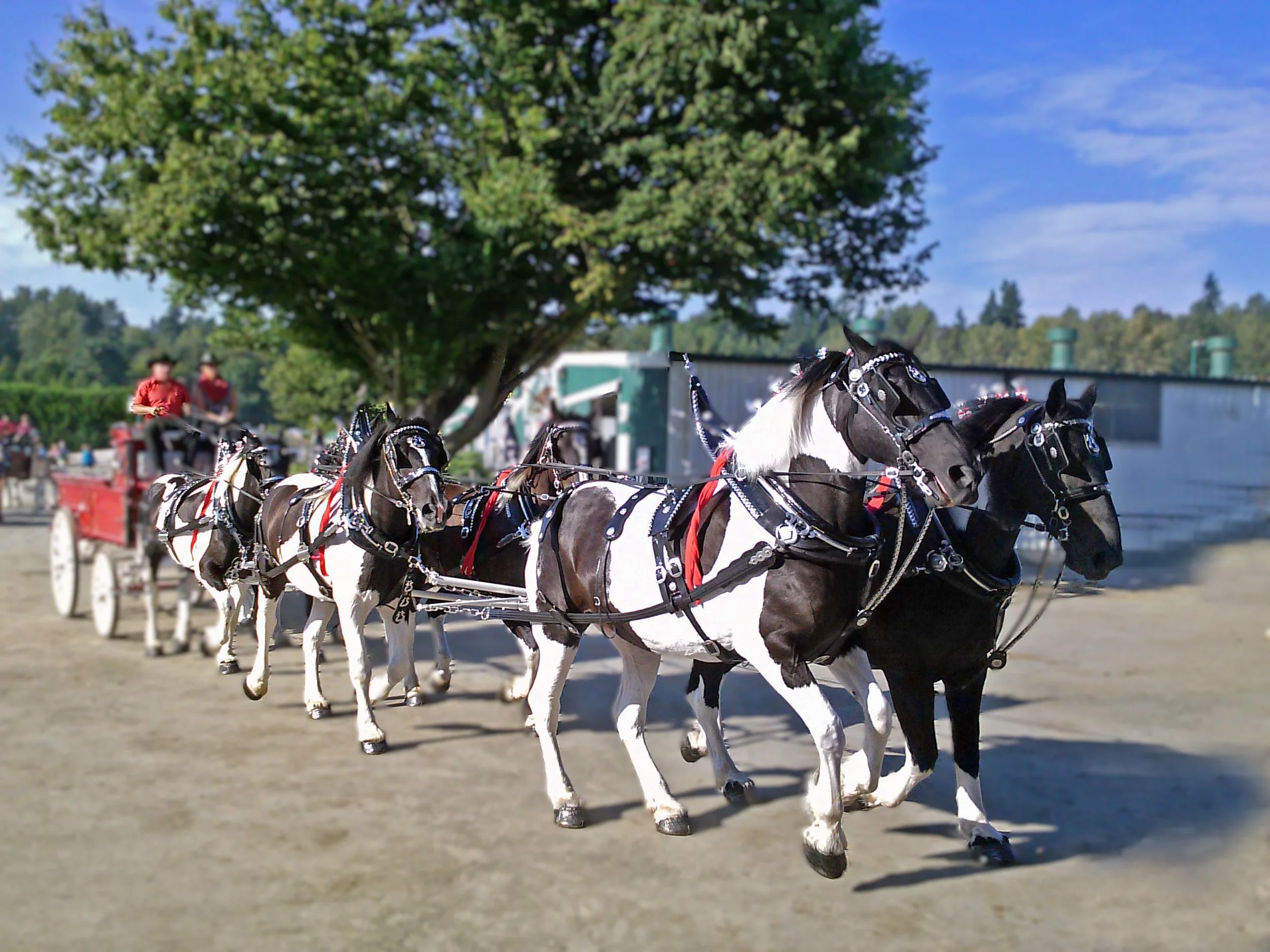 Thriving Together with Dr. Penny  Lesson 2