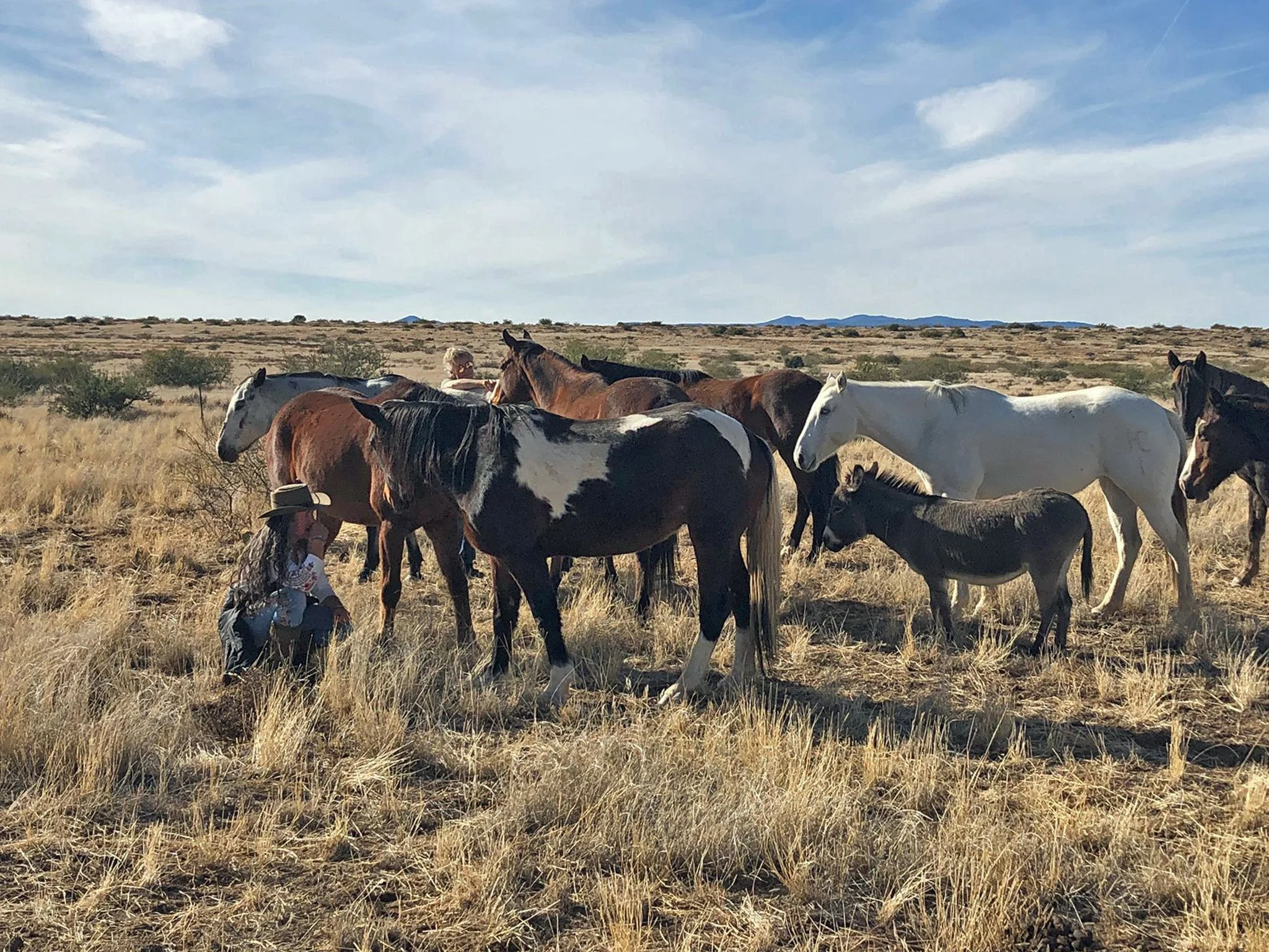 Thriving Together with Dr. Penny Lesson 4