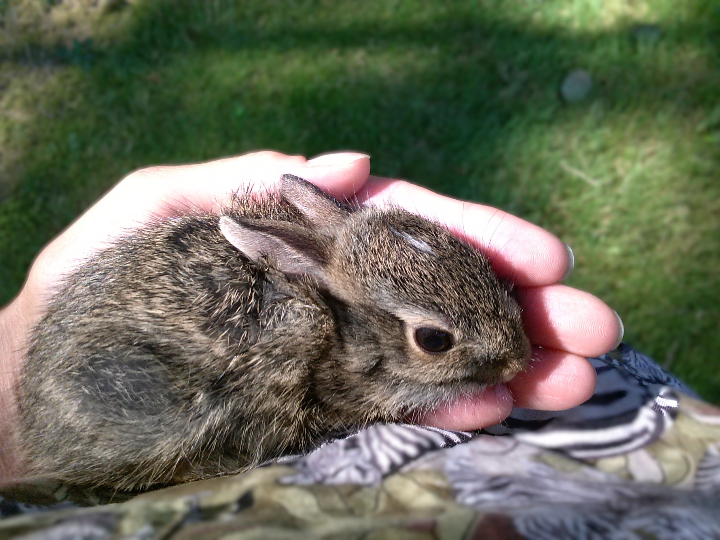 Thriving Together with Dr. Penny Lesson 5