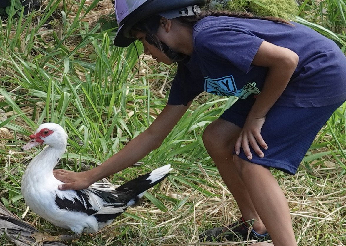 Hoku Lio Farms Children’s Program: An Oasis For Heartfelt Learning and Relationship Building