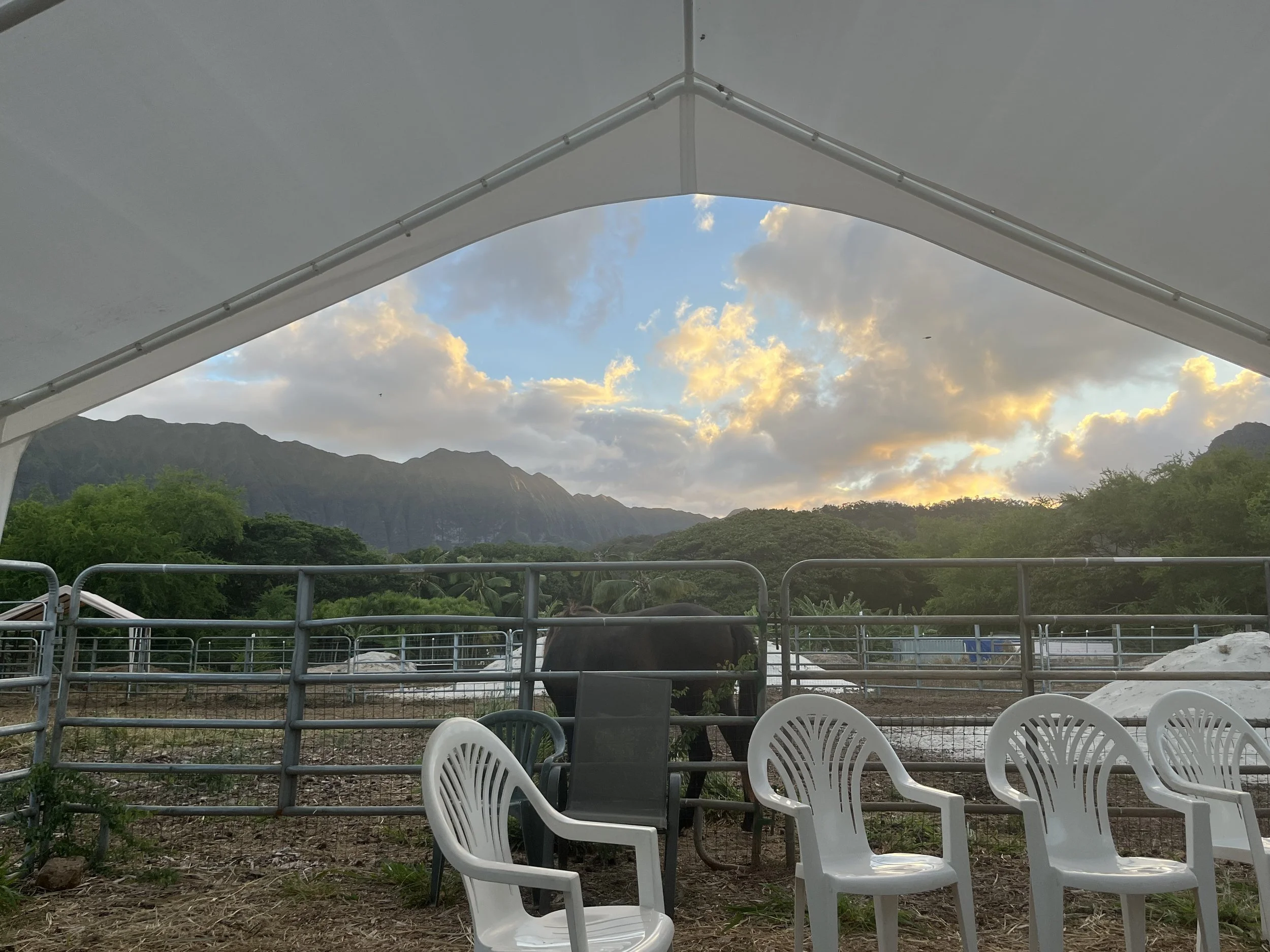 Classroom roof and floor