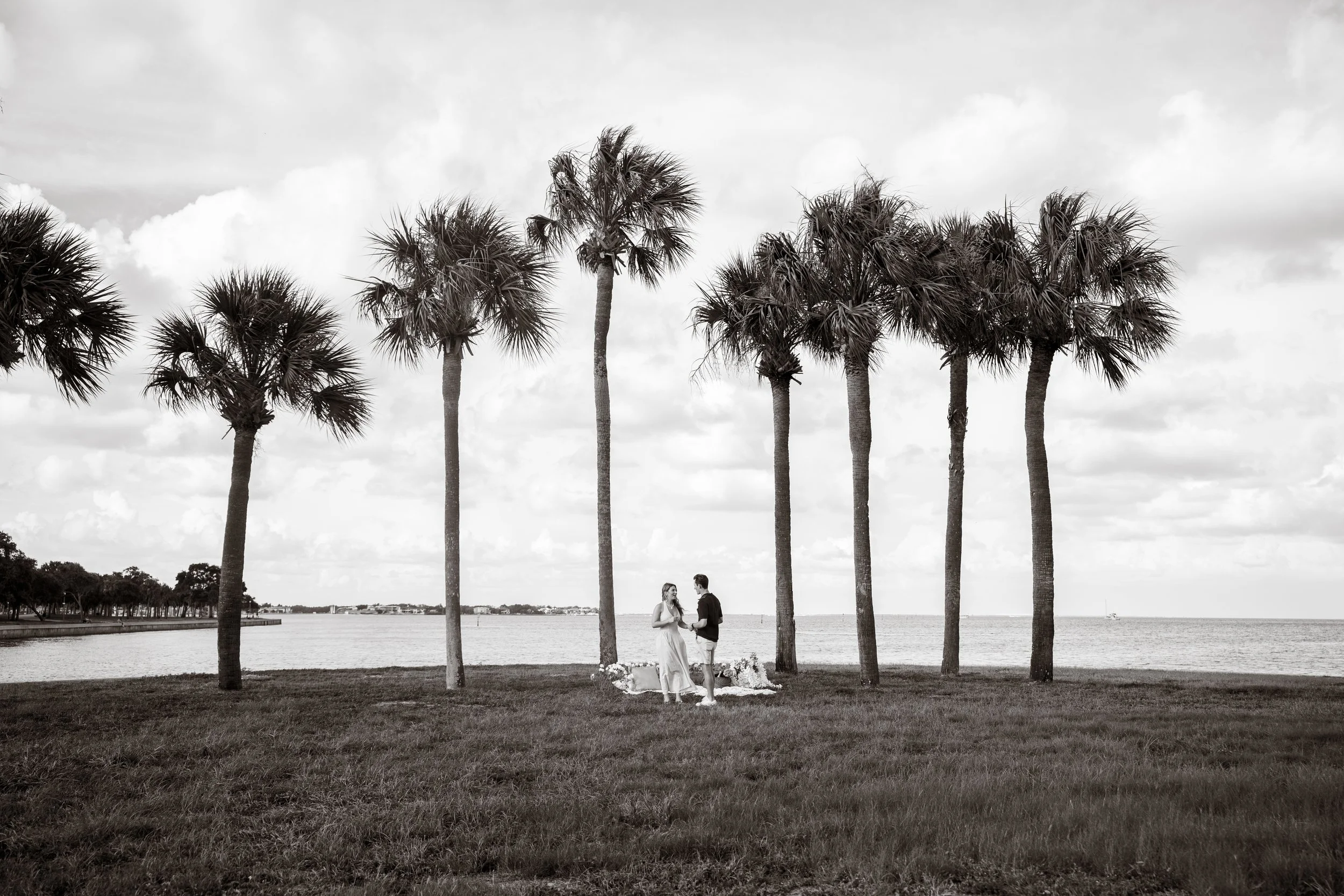 Sydneylewphotography(billy.stpete)-16.jpg