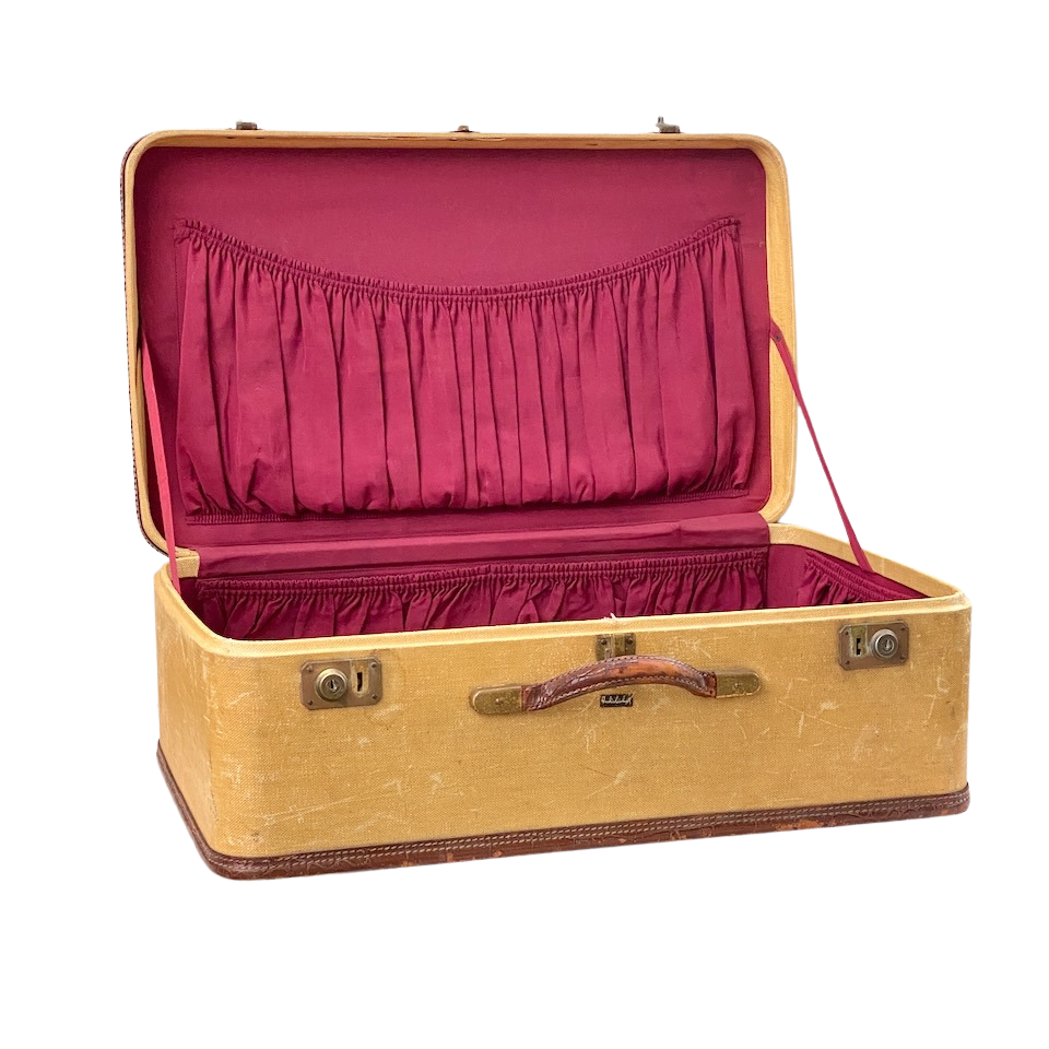 Amelia Earhart Suitcase