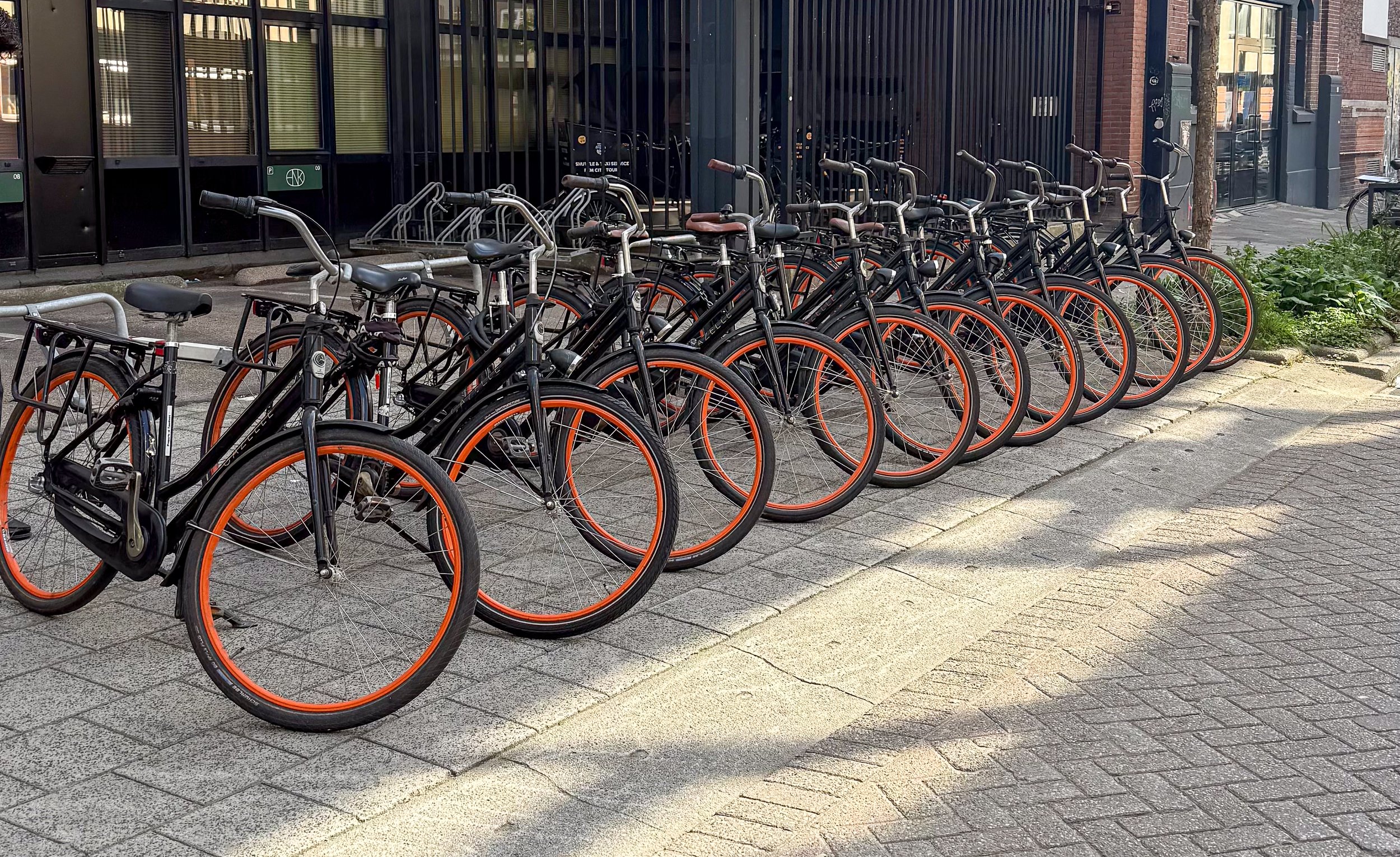 A row of parked bicycles with orange rims, lined up on a city sidewalk in front of a black building with large windows and a metal fence. There is some greenery and a tree to the right.