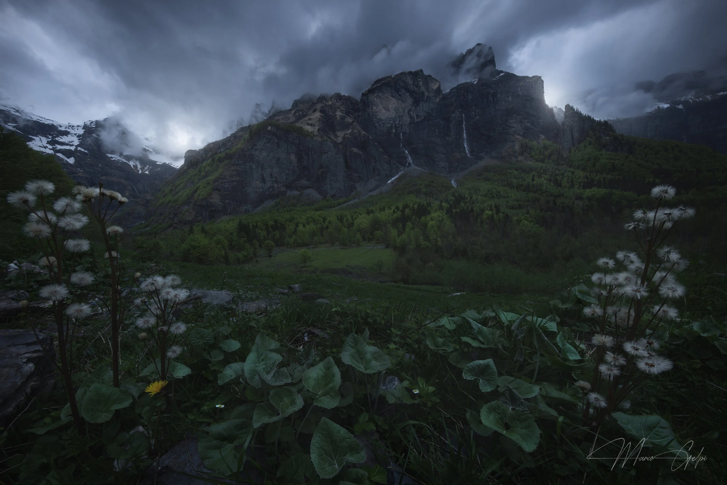 381A5833-Enhanced-NR-1 copy.jpg