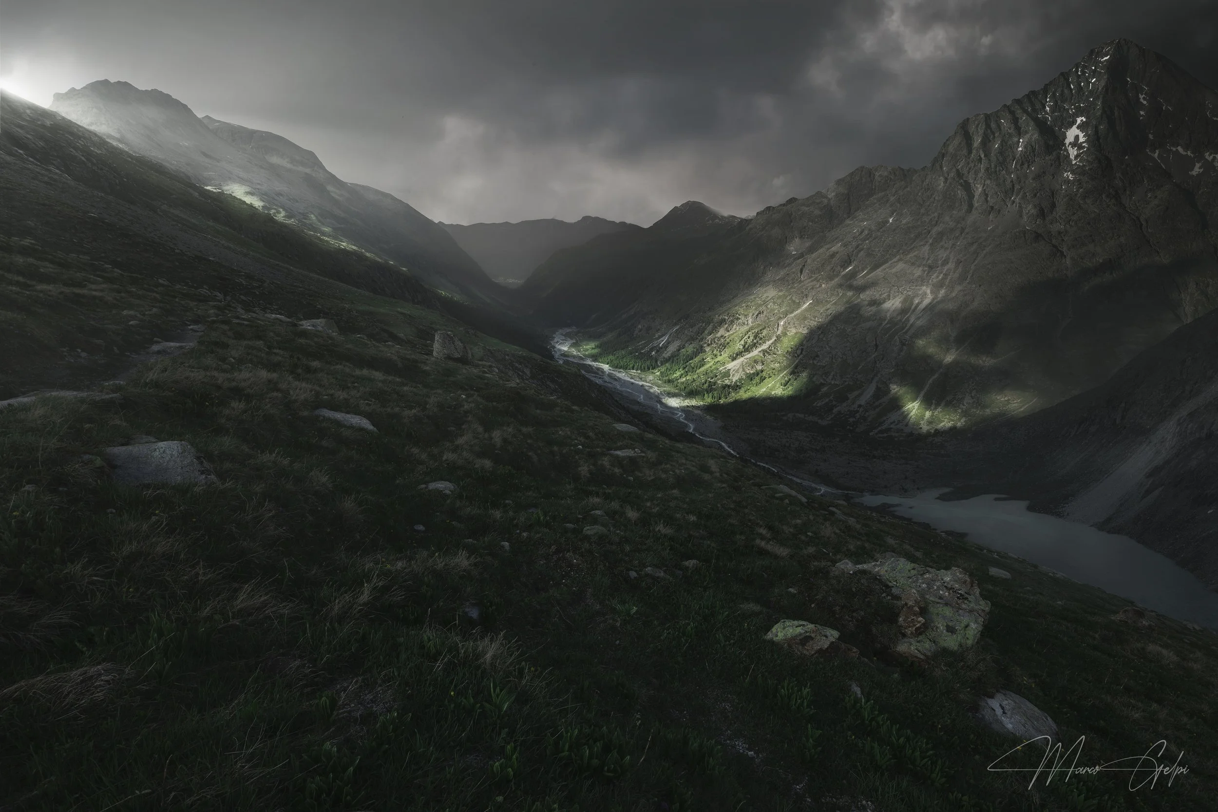 381A2203-1 copy - black levels.jpg