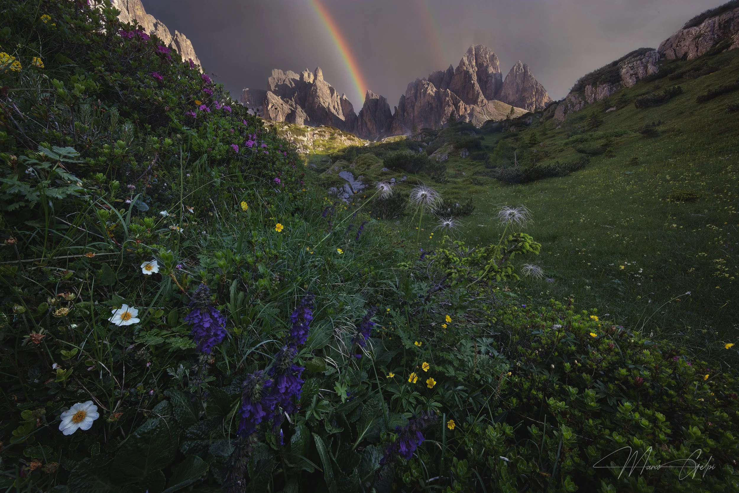 2025-06-15 16-37-16 (B,R8,S4)-Enhanced-NR-1.jpg