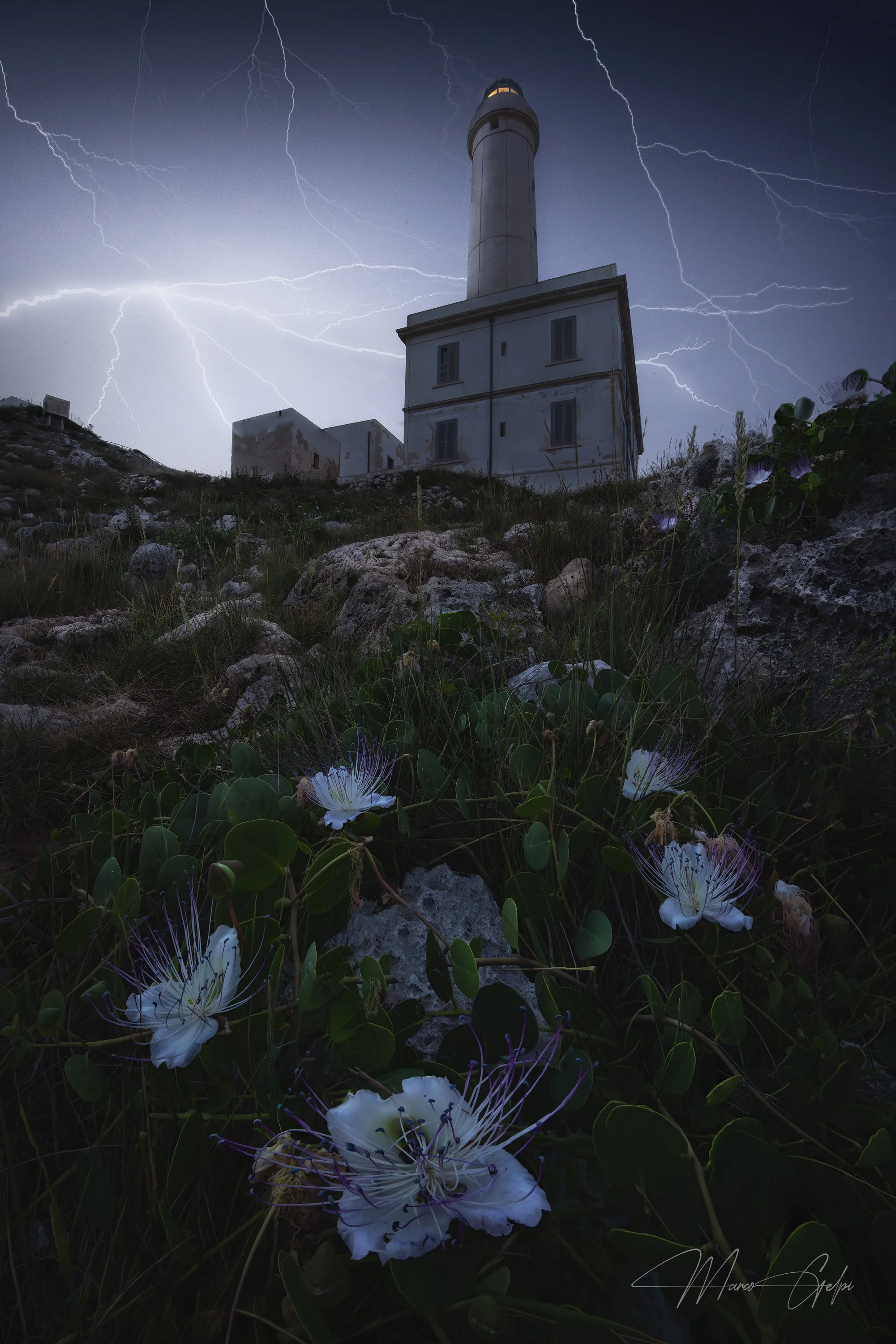 381A2557-Enhanced-NR-1 copy.jpg