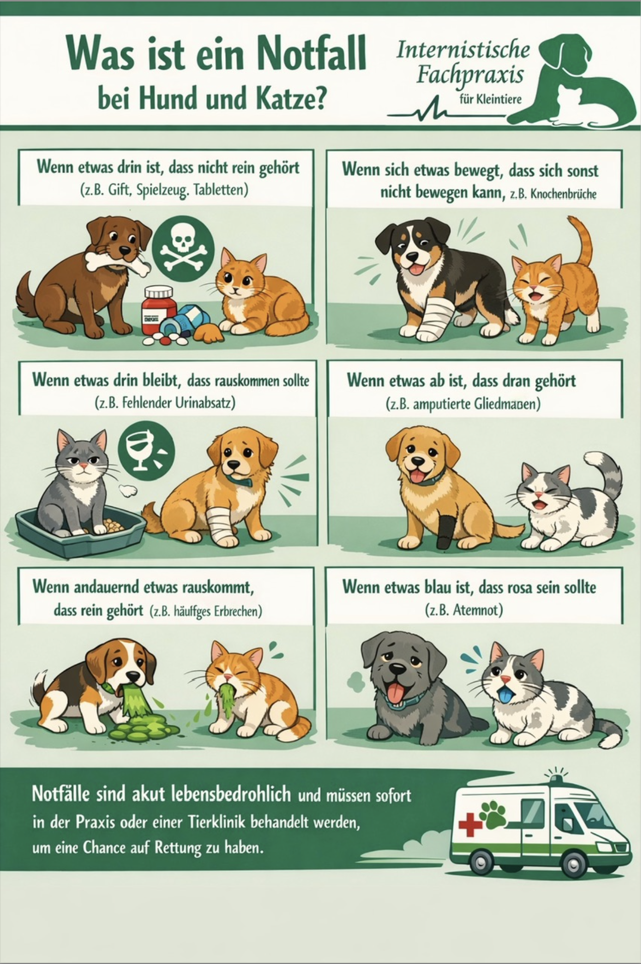 Was ist ein Notfall bei Hund und Katze?