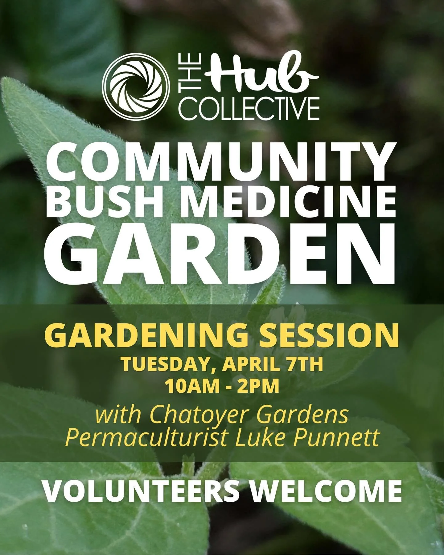 Volunteer in our Bush Medicine Community Garden 🪴 

Join us this Tuesday, April 7th from 10AM to 2PM at our garden in Port Elizabeth for a working day to freshen the space.

Chatoyer Gardens will be with us, guiding the pruning and sharing their kno