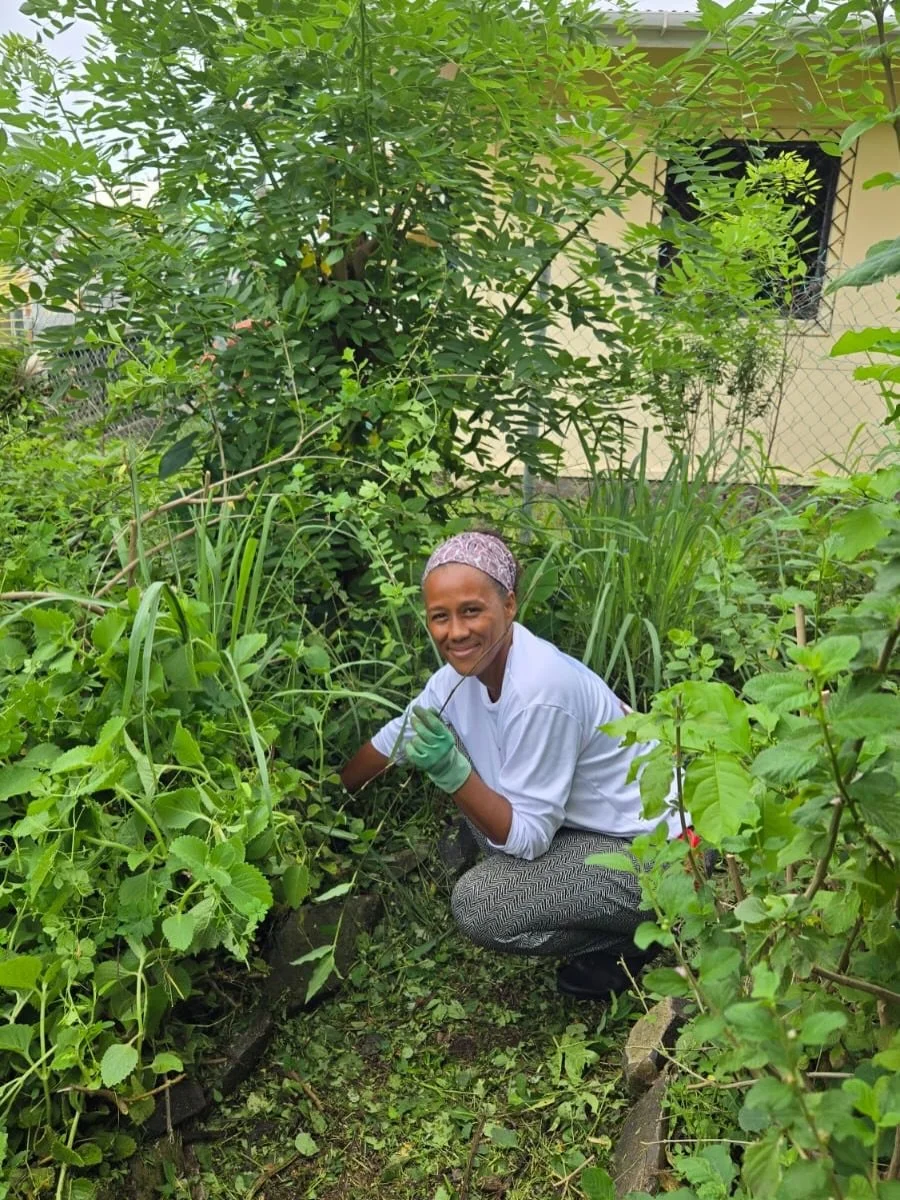 There&rsquo;s nothing like getting your hands dirty for a good cause! 🌿

Recently, we hosted a clean-up and pruning session at our Bush Medicine Community Garden, led by permaculturist Luke Punnett of @chatoyergardens. Volunteers rolled up their sle