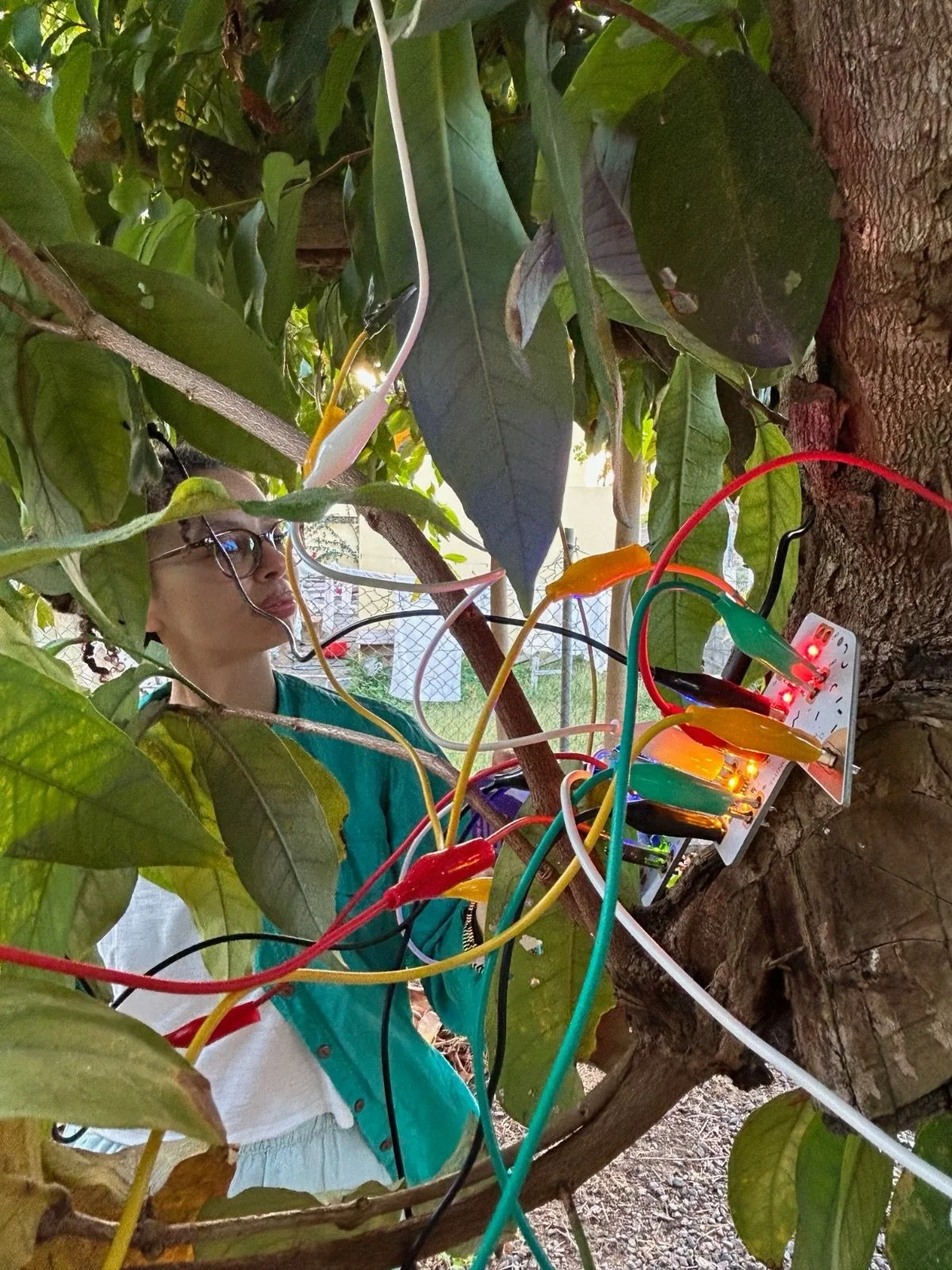 Back in March, Dionne Elizabeth led Spacemaking as Sanctuary here at The Hub &ndash; a sensory-led gathering exploring water as memory, belonging, and collective care, moving between our Creative Arts Centre and Bush Medicine Community Garden. Throug