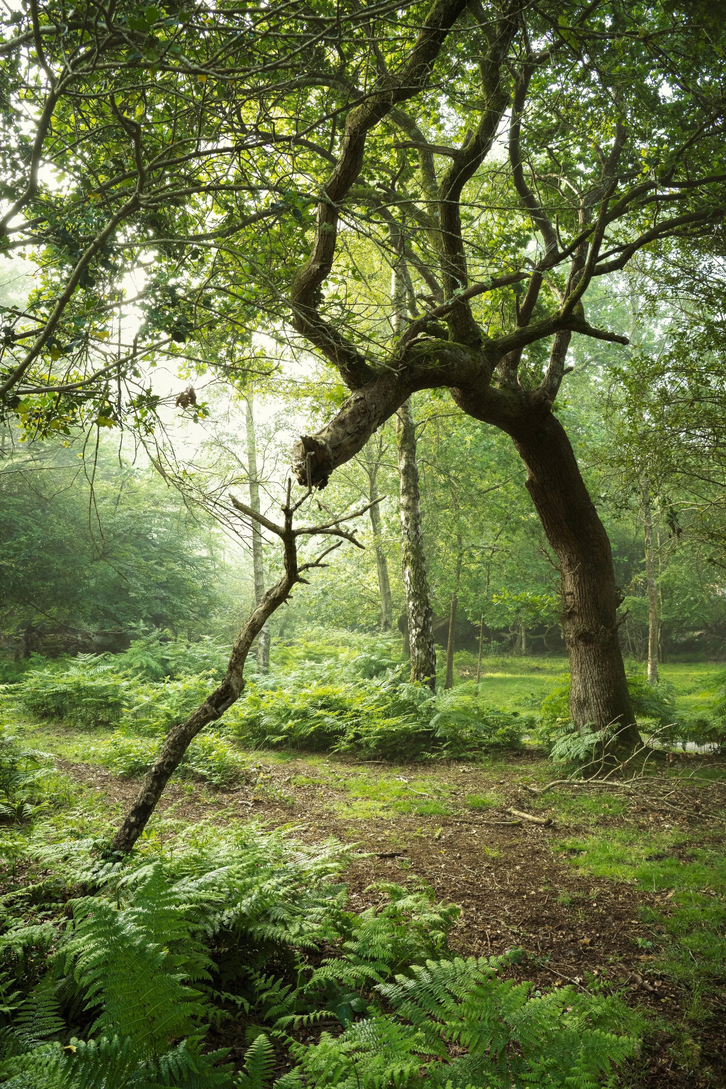 Portfolio Update -2-5.jpg