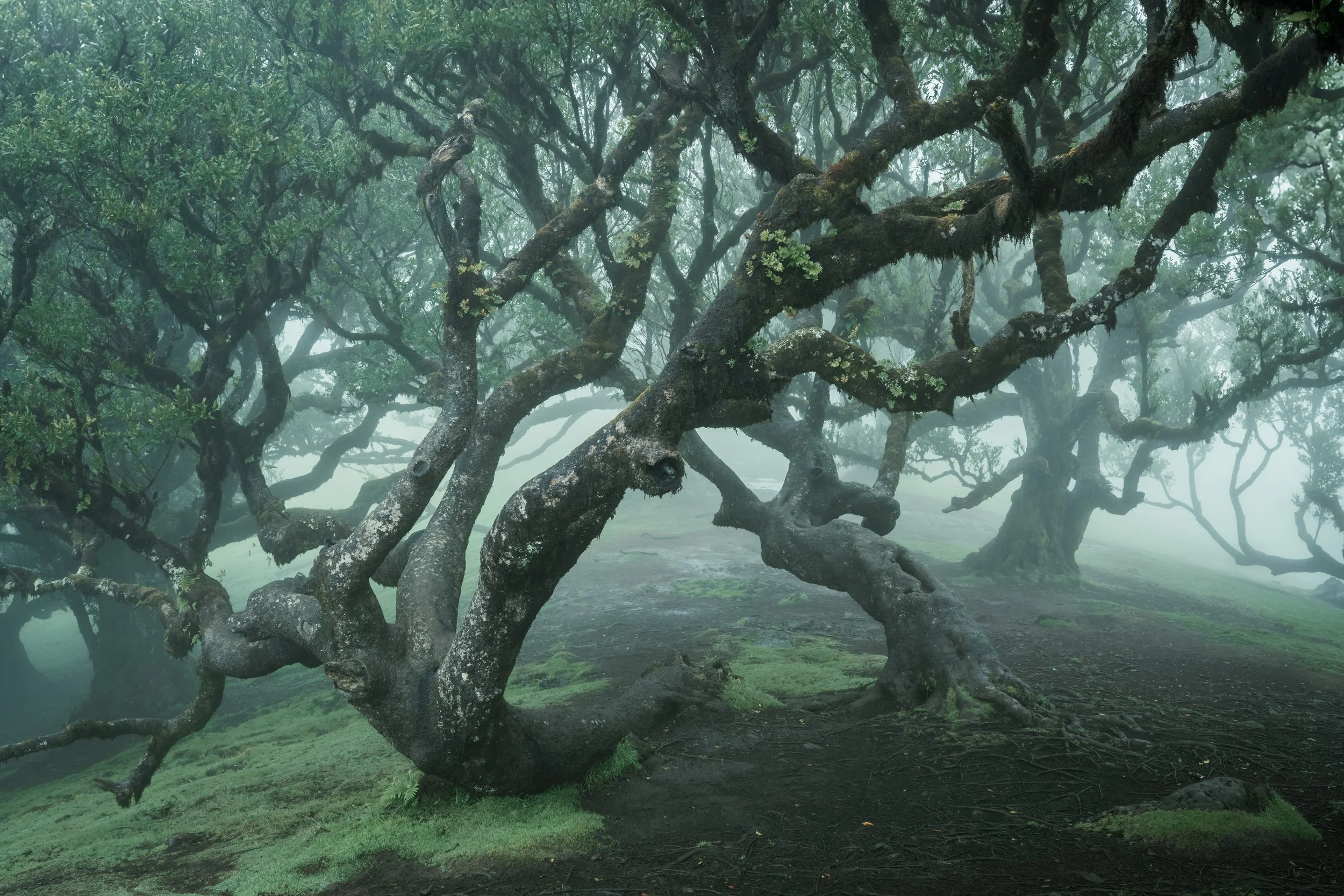 Portfolio Update -01475.jpg