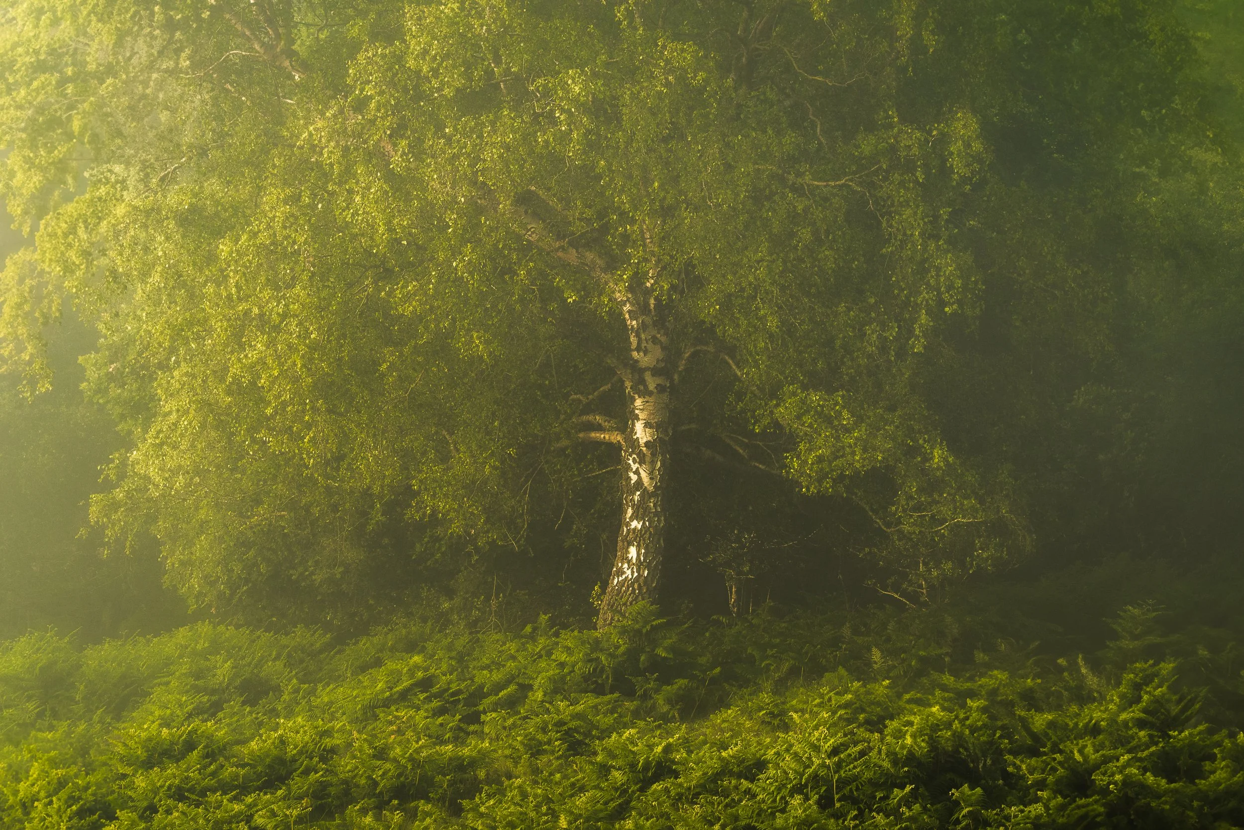 Lee Cooper 2026 Workshop image-4.jpg