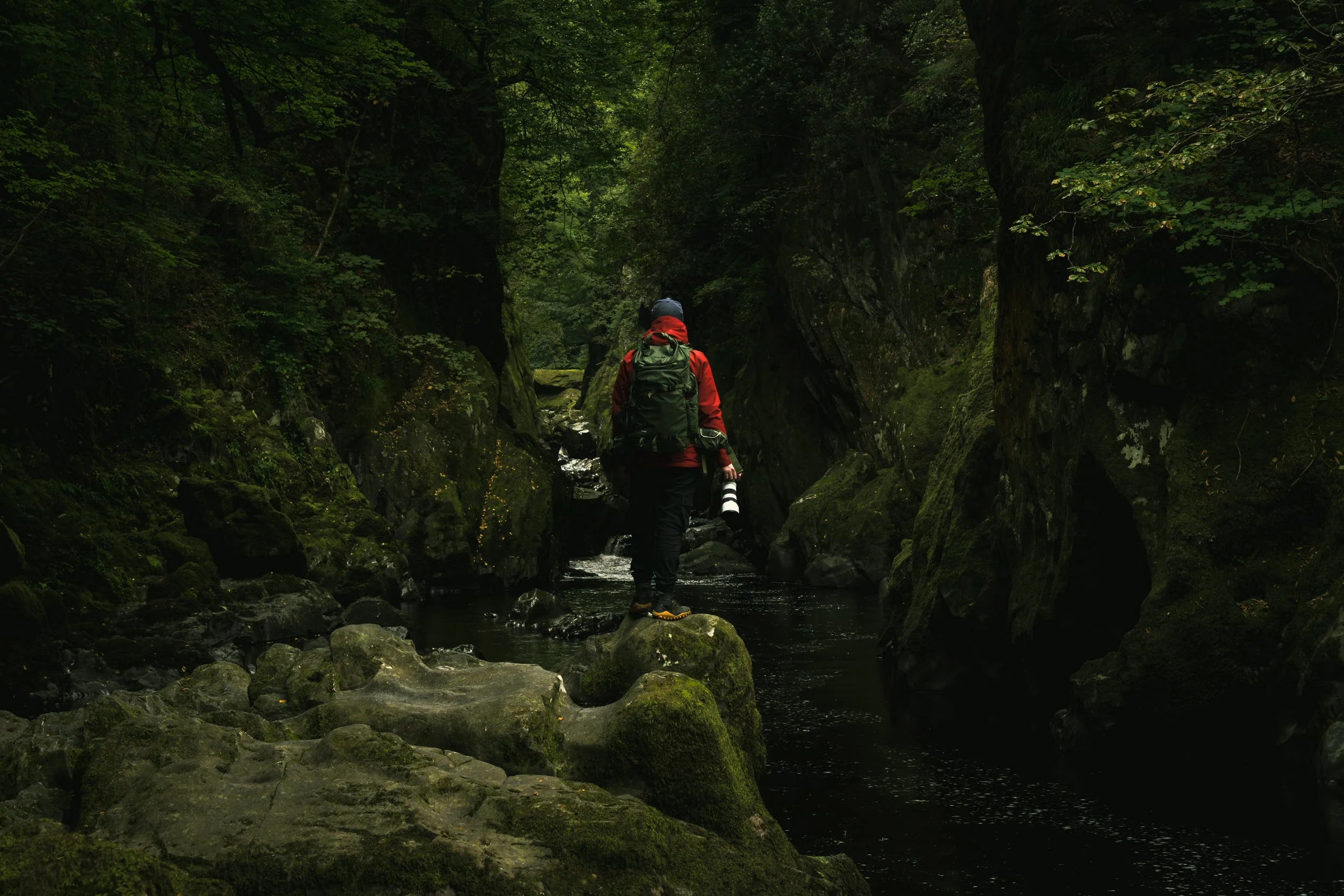 Portfolio Update -00504-2.jpg