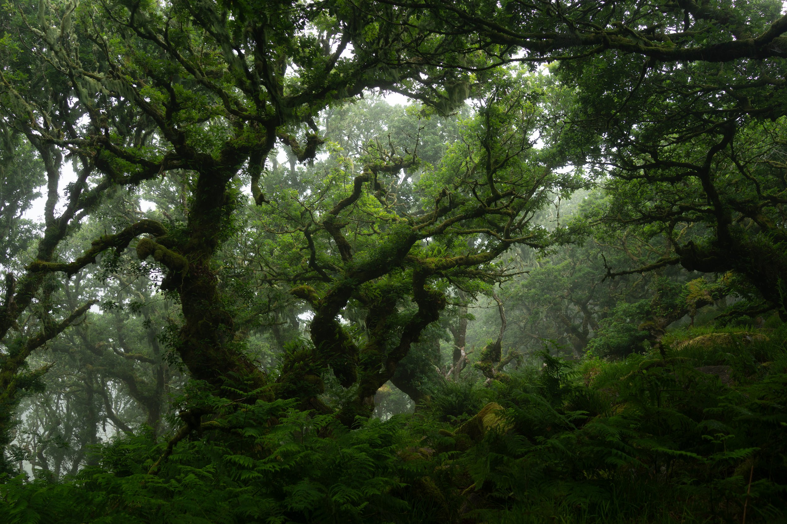 Portfolio Update -06042.jpg