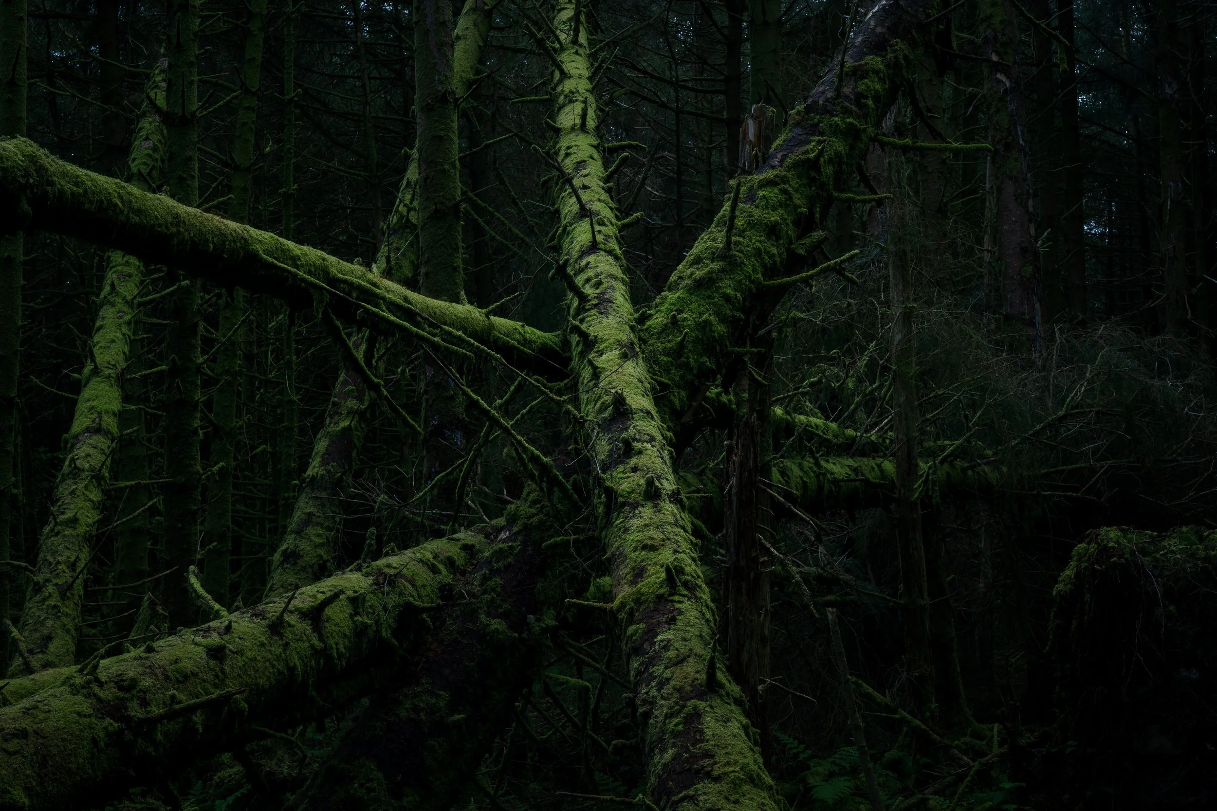 Portfolio Update -00927.jpg