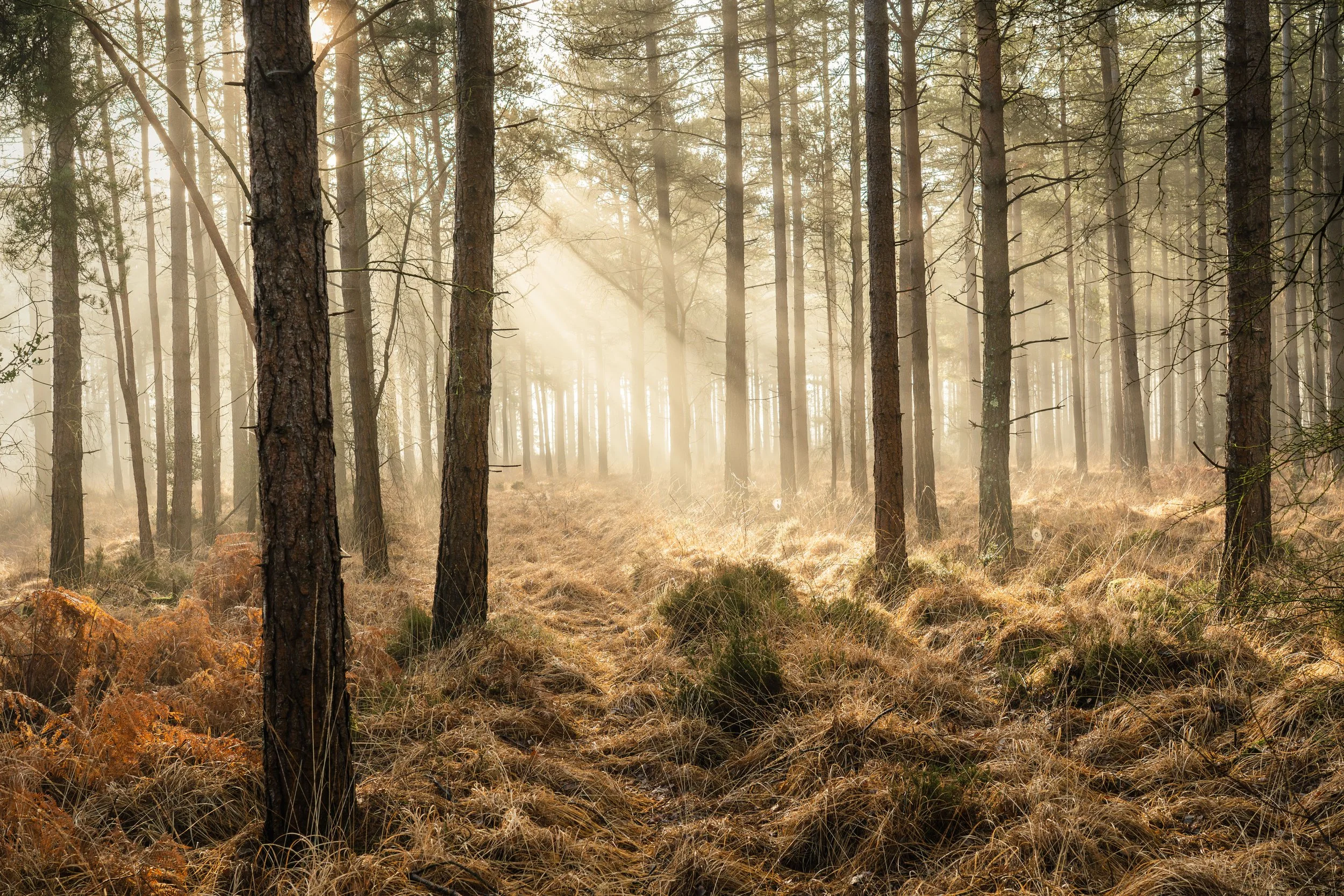 Portfolio Update -09835.jpg