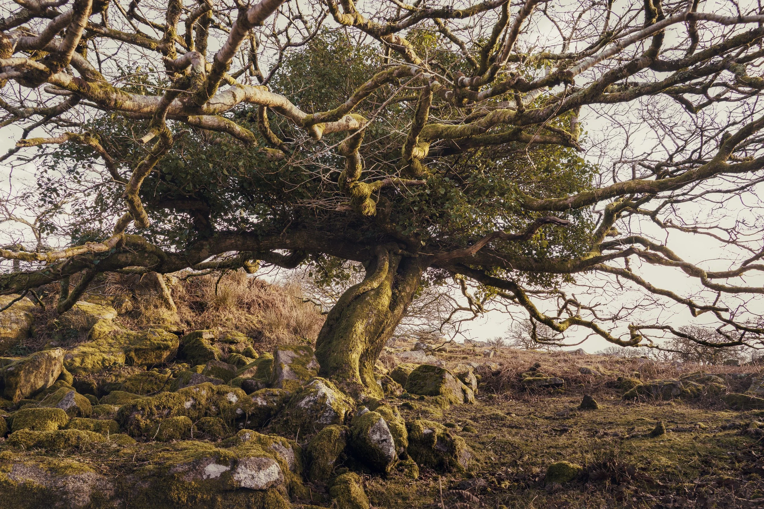 Portfolio Update -00088.jpg