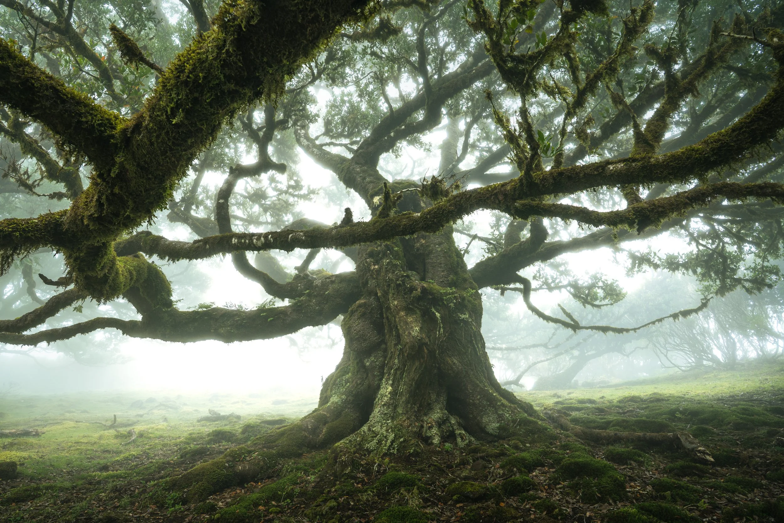 Portfolio Update -00583.jpg