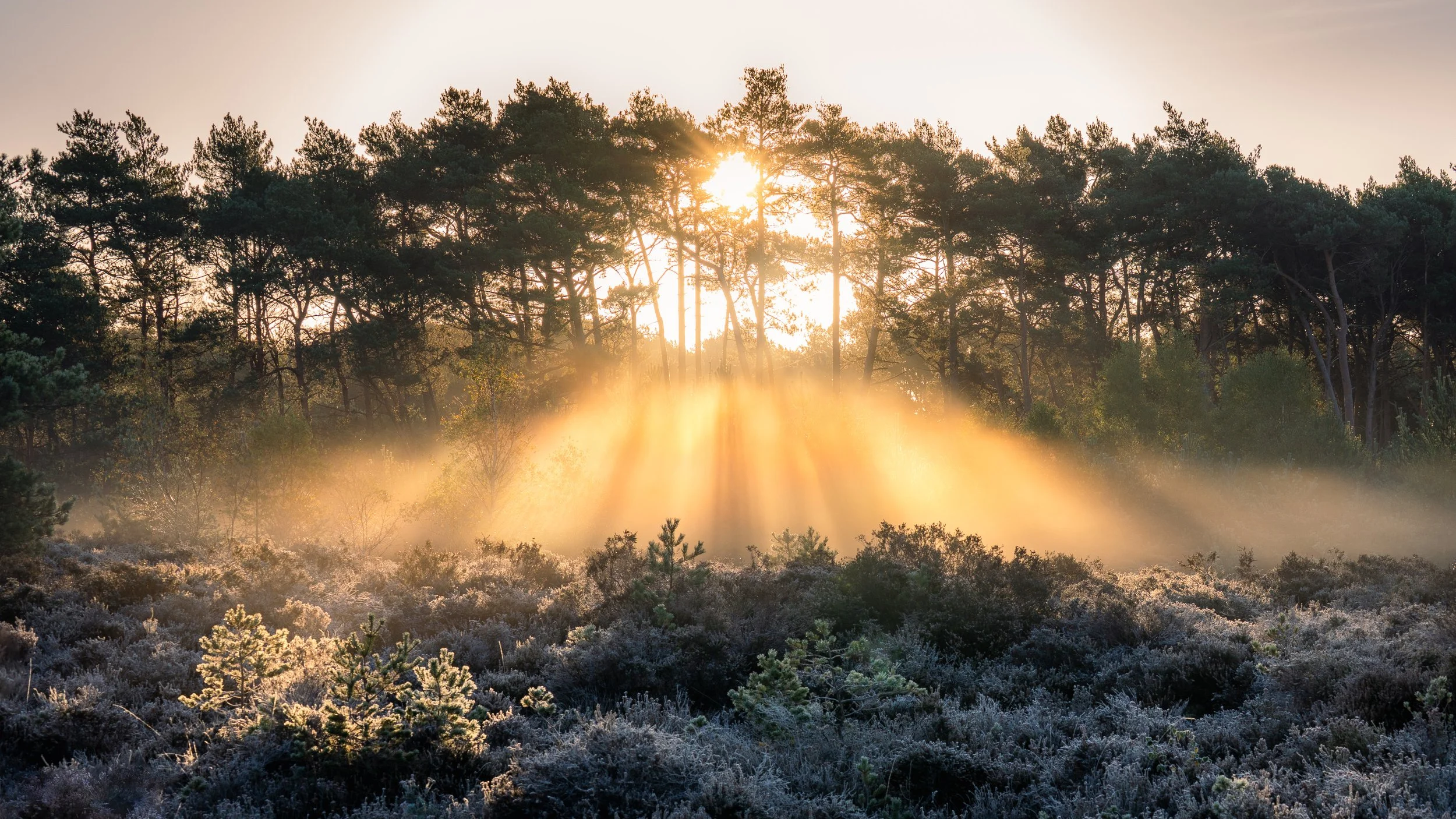 Portfolio Update -00305.jpg