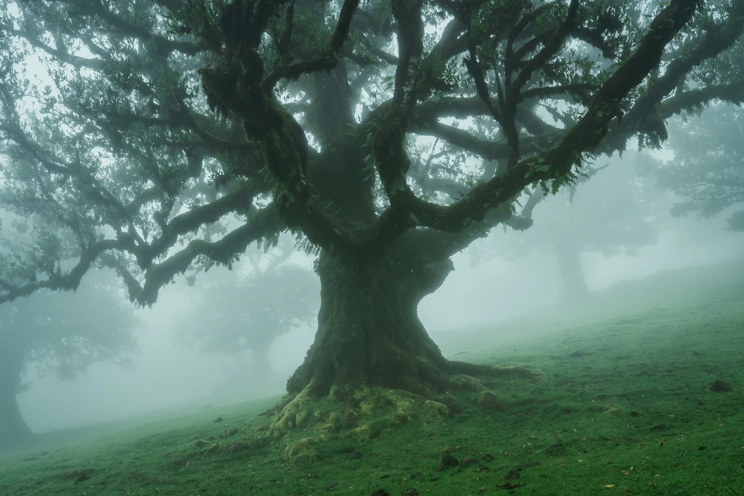 Portfolio Update -09631.jpg